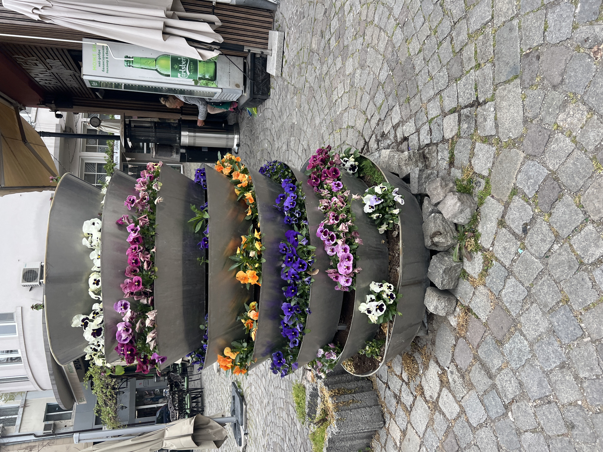 The image shows a modern, metallic flower display in Plovdiv, Bulgaria. The display consists of several curved metal planters arranged in a row, each containing different colored pansies (white, purple, orange, and blue). The planters are set on a cobblestone street. In the background, there is a building with an awning, a beer advertisement (Carlsberg), and a person standing near a beverage cooler. Outdoor seating is visible under the awning. The environment is urban.