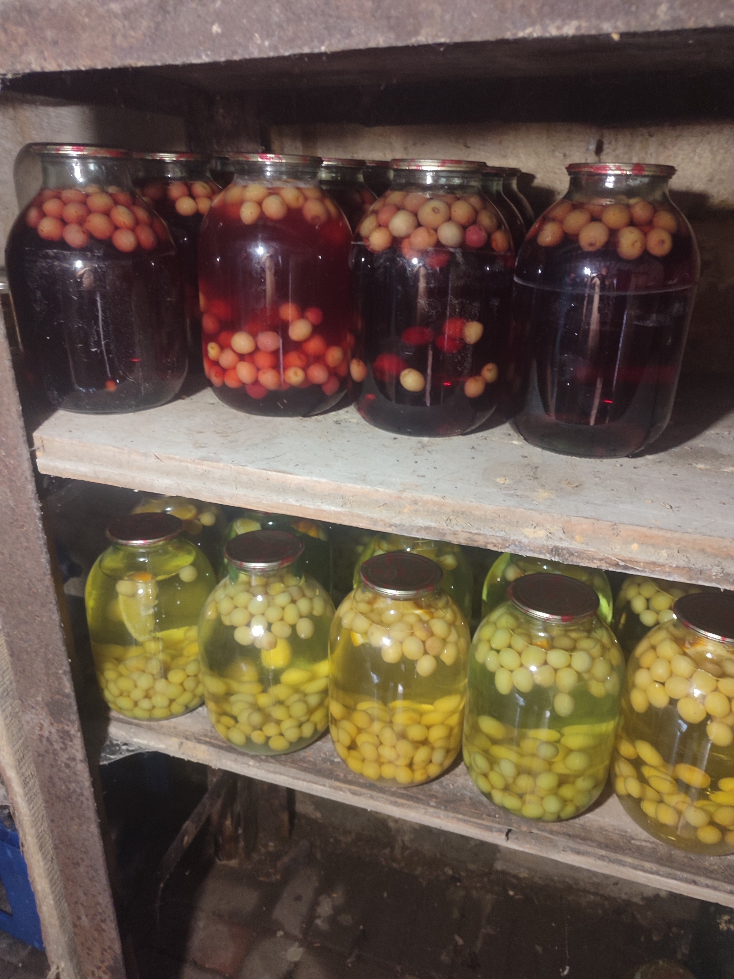 The image depicts a collection of glass jars filled with preserved fruit, likely cherries and grapes, arranged on wooden shelves in what appears to be a cellar or storage area. The jars are of varying sizes and contain different types of preserved fruit. The top shelf holds jars filled with dark liquid and whole cherries or small fruits. The lower shelf displays jars filled with pale green grapes submerged in a clear liquid, some with slices of lemon. The lighting is dim, suggesting an indoor, possibly underground, location. The overall impression is one of homemade preserves stored for later consumption. There is no visible text in the image.