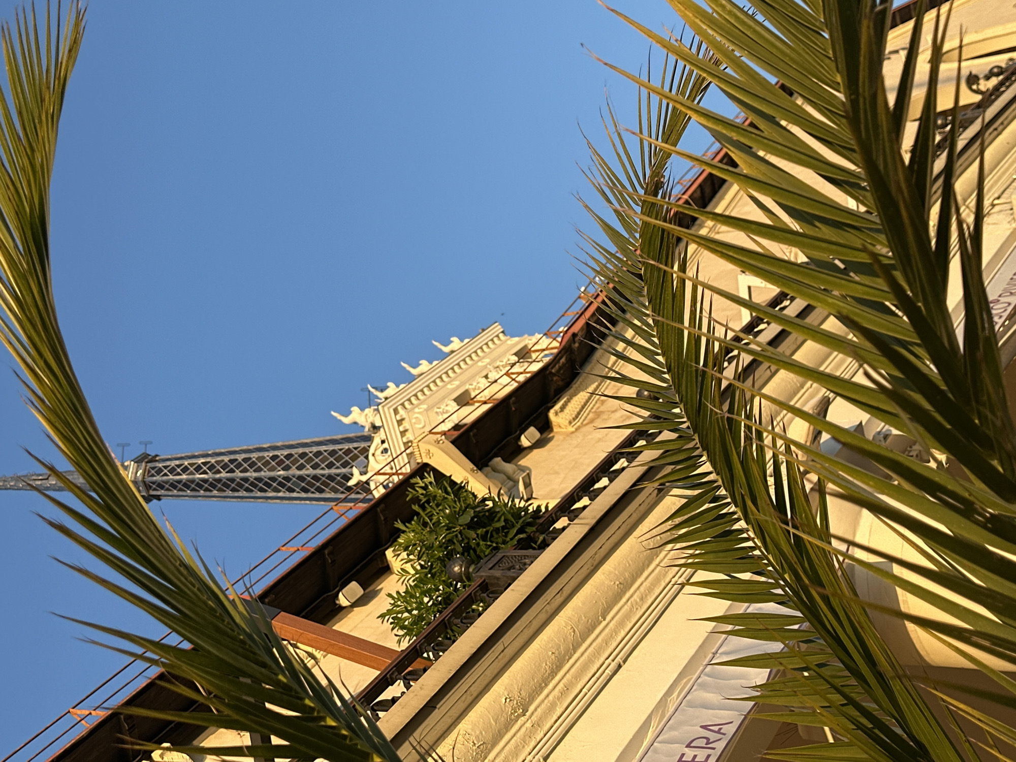 The image, taken from a low angle, shows a building facade in Sochi, Russia, partially obscured by palm fronds. The building is likely a commercial or residential structure. A bridge can be seen in the background, indicating an urban setting. The time of day is likely evening or early morning, based on the lighting. No people are visible in the shot.