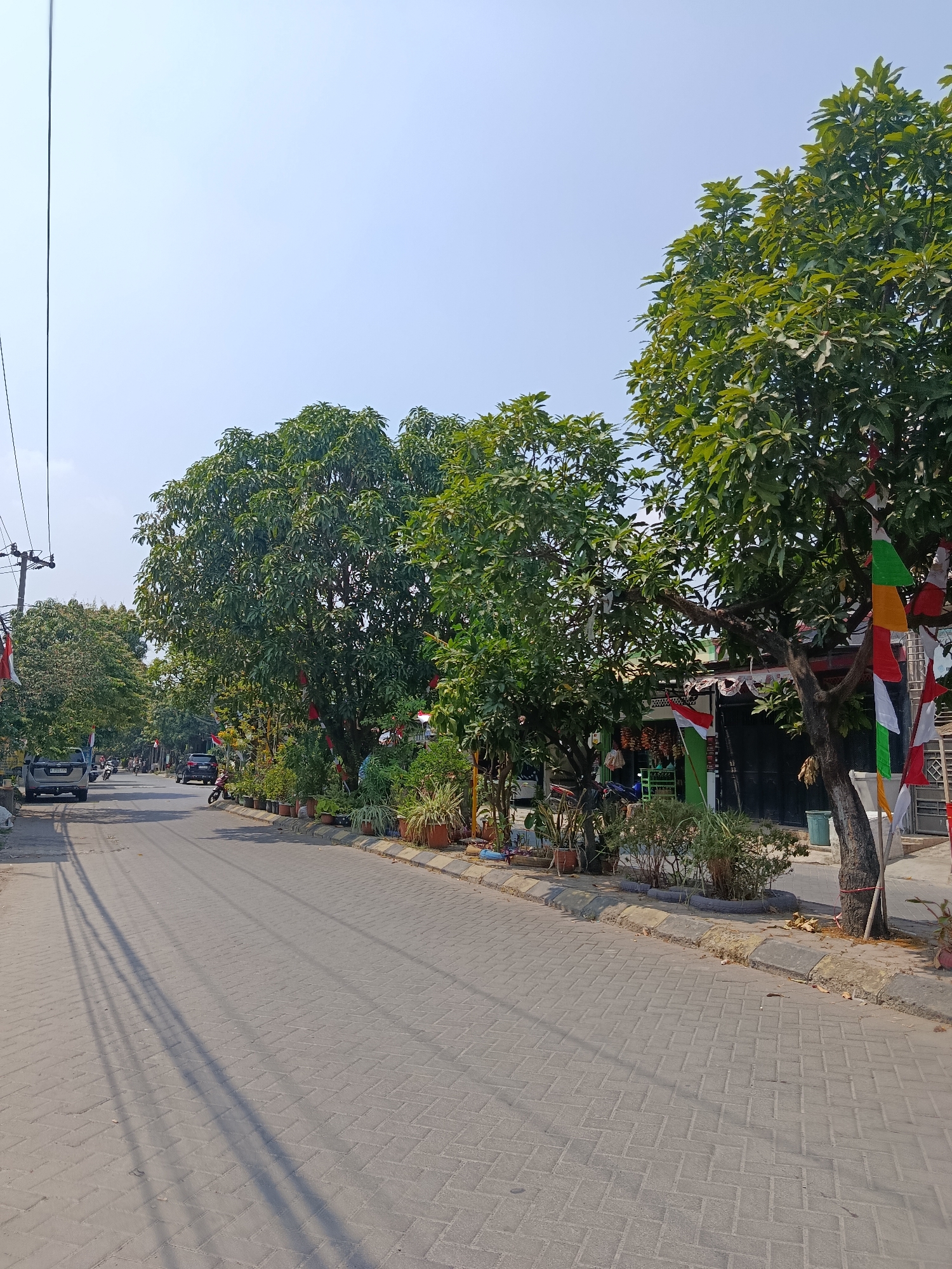 The image depicts a street scene in Wanasari, Indonesia, likely in a residential or commercial area. The road is paved with interlocking bricks, and the sky is clear and bright. On the right side of the street, there are several potted plants lining the sidewalk, some with decorative Indonesian flags (red and white) hanging from trees. A few shops or houses are visible behind the trees and plants. On the left side of the street, more trees line the sidewalk, and several vehicles, including a car and motorcycles, are parked or driving on the road. Electrical wires and poles are also visible in the distance, indicating infrastructure in the area. The scene appears to be taken during daylight hours.