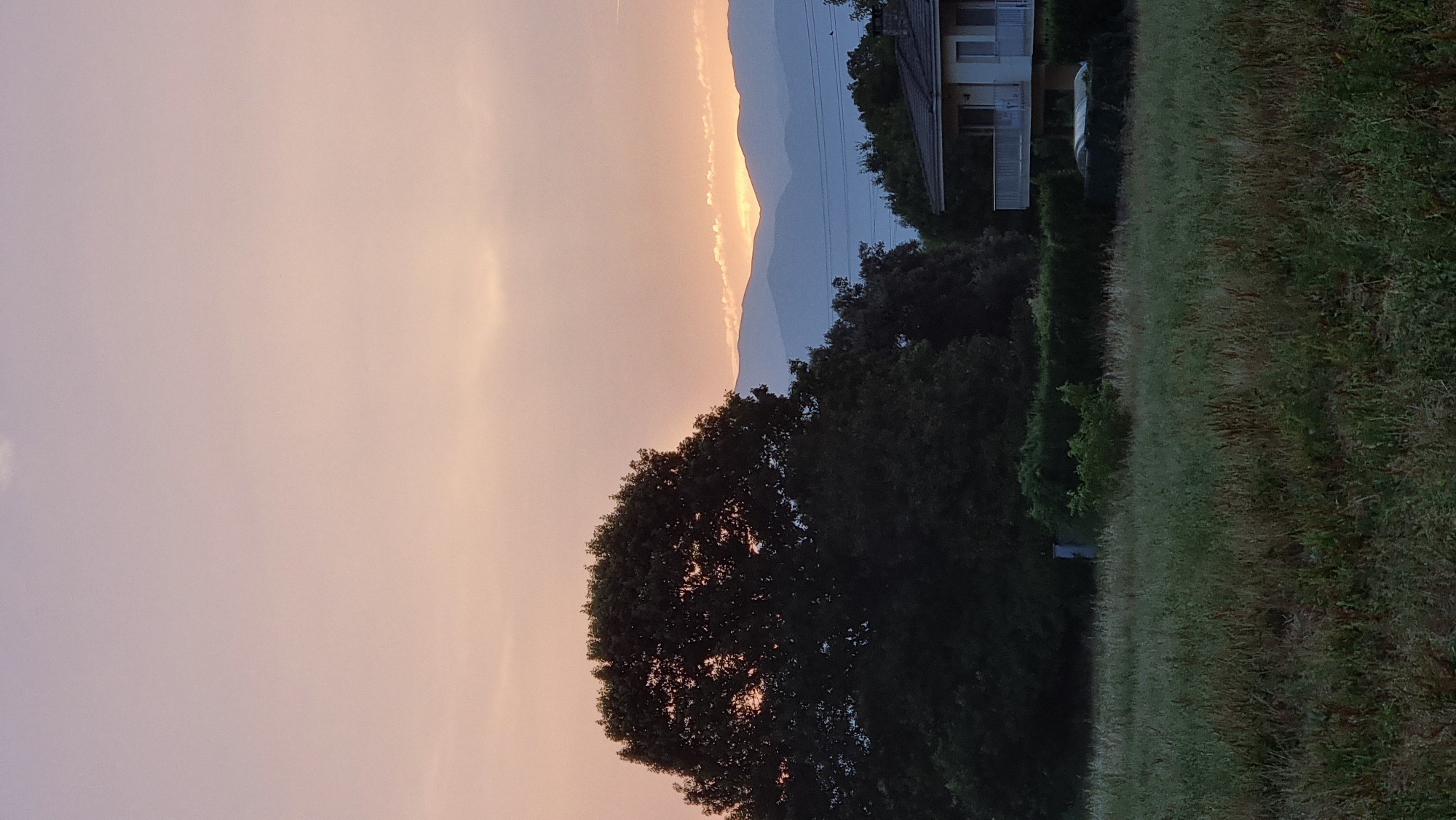 The image depicts a landscape scene in Sant Joan les Fonts, Spain, during sunset. A large, dark tree with an open canopy dominates the left side of the frame. In the background, layered blue mountains are visible against a soft, pale pink and orange sky, with a thin band of illuminated clouds near the horizon. To the right, a modern house with a white railing on its balcony is situated amongst green foliage. The foreground consists of a field of tall, dry grass. A grey, vertical structure is faintly visible in the field, towards the left side. The overall impression is one of a serene rural or semi-rural environment at dusk.