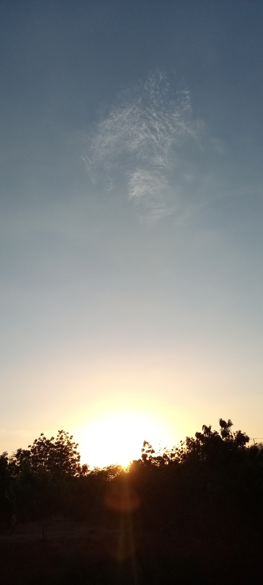 The image captures a sunset in Unknown, Unknown. The sky transitions from a pale blue at the top to a warm orange near the horizon. A wispy, light-colored cloud formation is visible in the upper portion of the sky. Silhouetted trees occupy the lower portion of the frame, obscuring the setting sun. Light rays emanate from behind the trees.