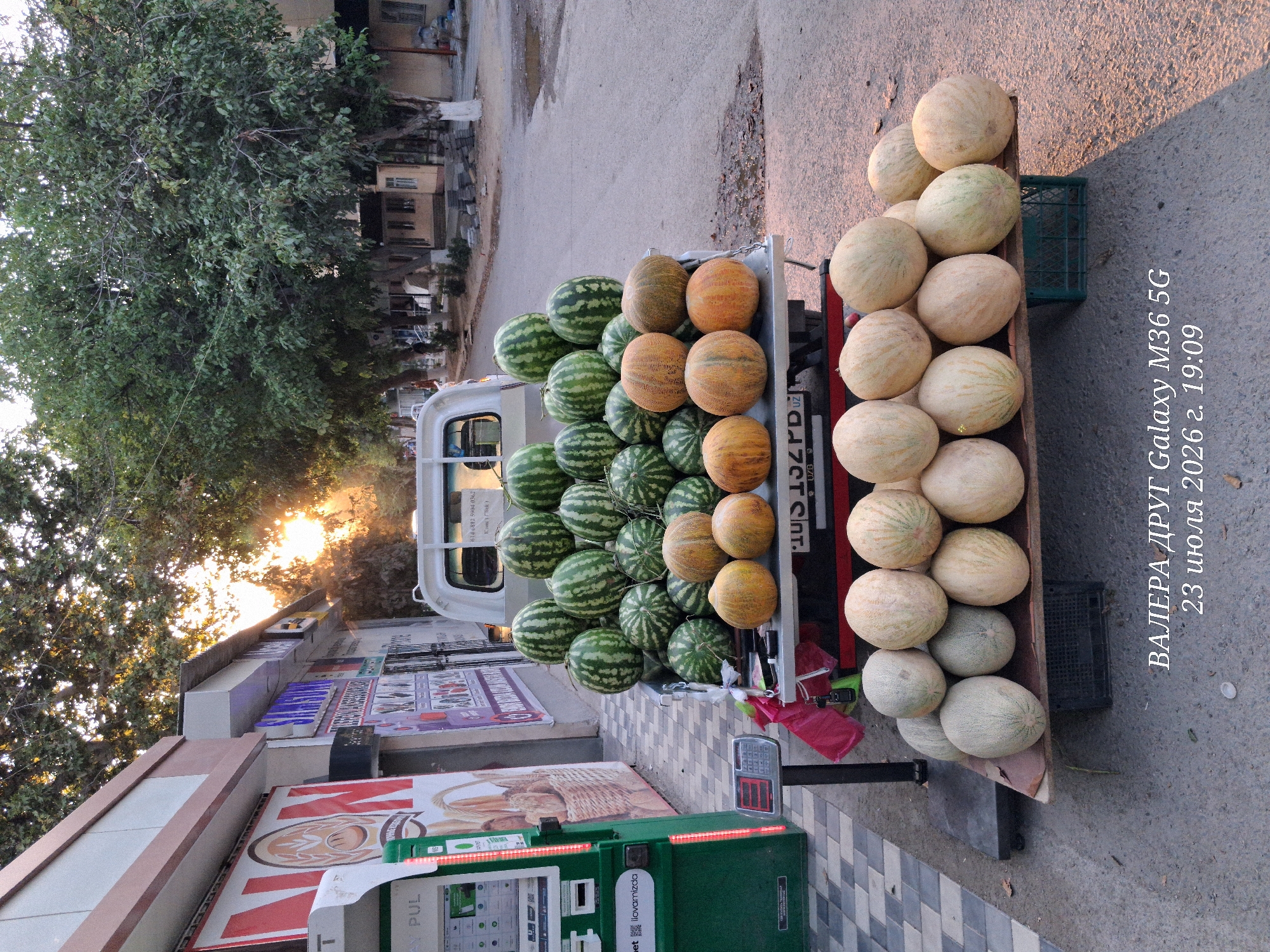 In the city of Chirchik, Uzbekistan, a truck is parked roadside, its bed loaded with a large quantity of watermelons and melons. The fruits are arranged in neat piles, with watermelons occupying the upper section and melons on a lower display. Adjacent to the truck, a green payment terminal stands on the sidewalk, and a digital scale is positioned in front of it. The street is paved, and trees with lush green foliage line the background, suggesting a pleasant, possibly late afternoon, atmosphere, as indicated by the warm sunlight filtering through the leaves. The image also captures a portion of a building with signage, and the license plate of the truck is visible, reading "UZB 079 G DZA." Text overlaid on the image appears to be a timestamp and model information: "ВАЛЕРА ДРУГ Galaxy M36 5G 23 июля 2026 г. 19:09."
