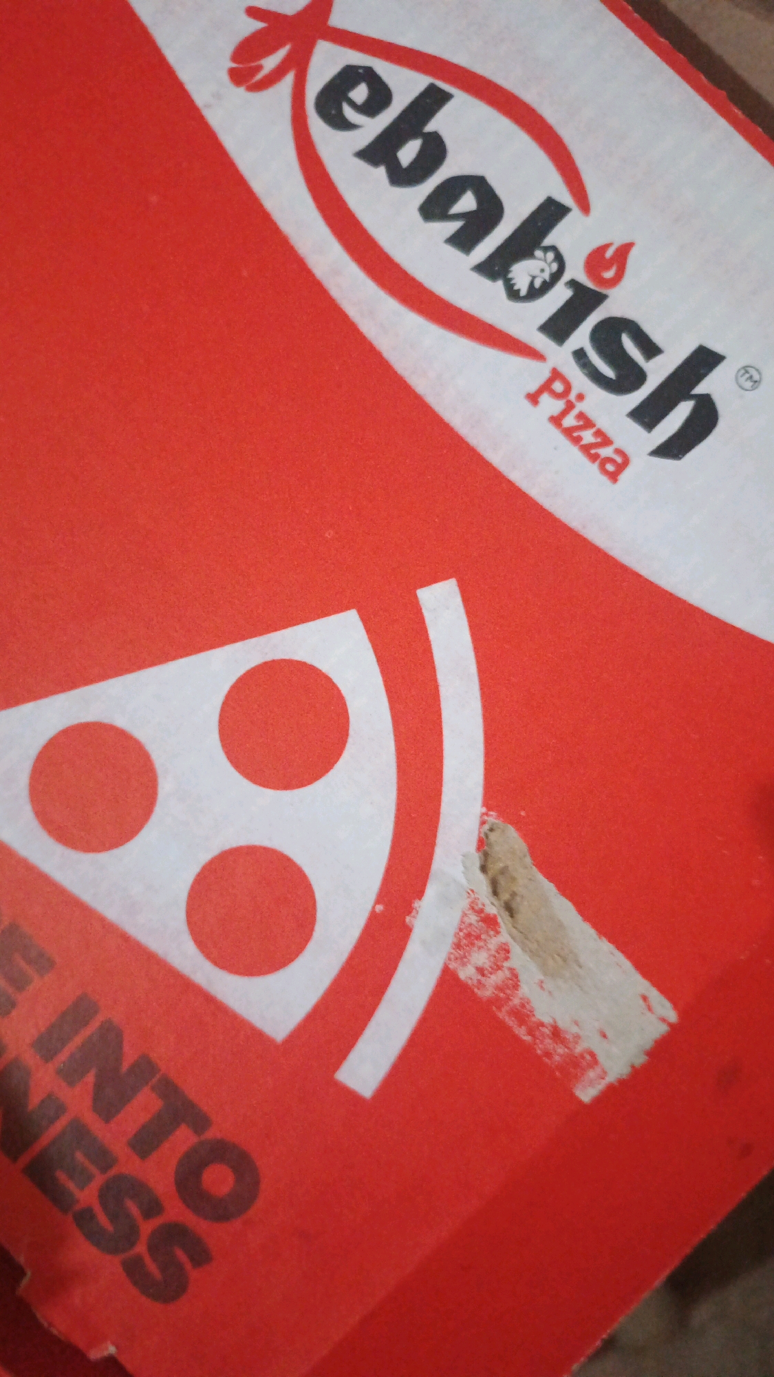 The image shows a red and white pizza box from "Kebabish Pizza". The logo features a stylized flame and a chicken. Part of the box is torn and discolored. The words "INTO NESS" are visible on the lower left side of the box, likely part of a slogan. The image quality is poor and blurry, making it difficult to discern finer details. There are no people or specific environmental features visible that would allow for a precise location in Sahiwal, Pakistan.