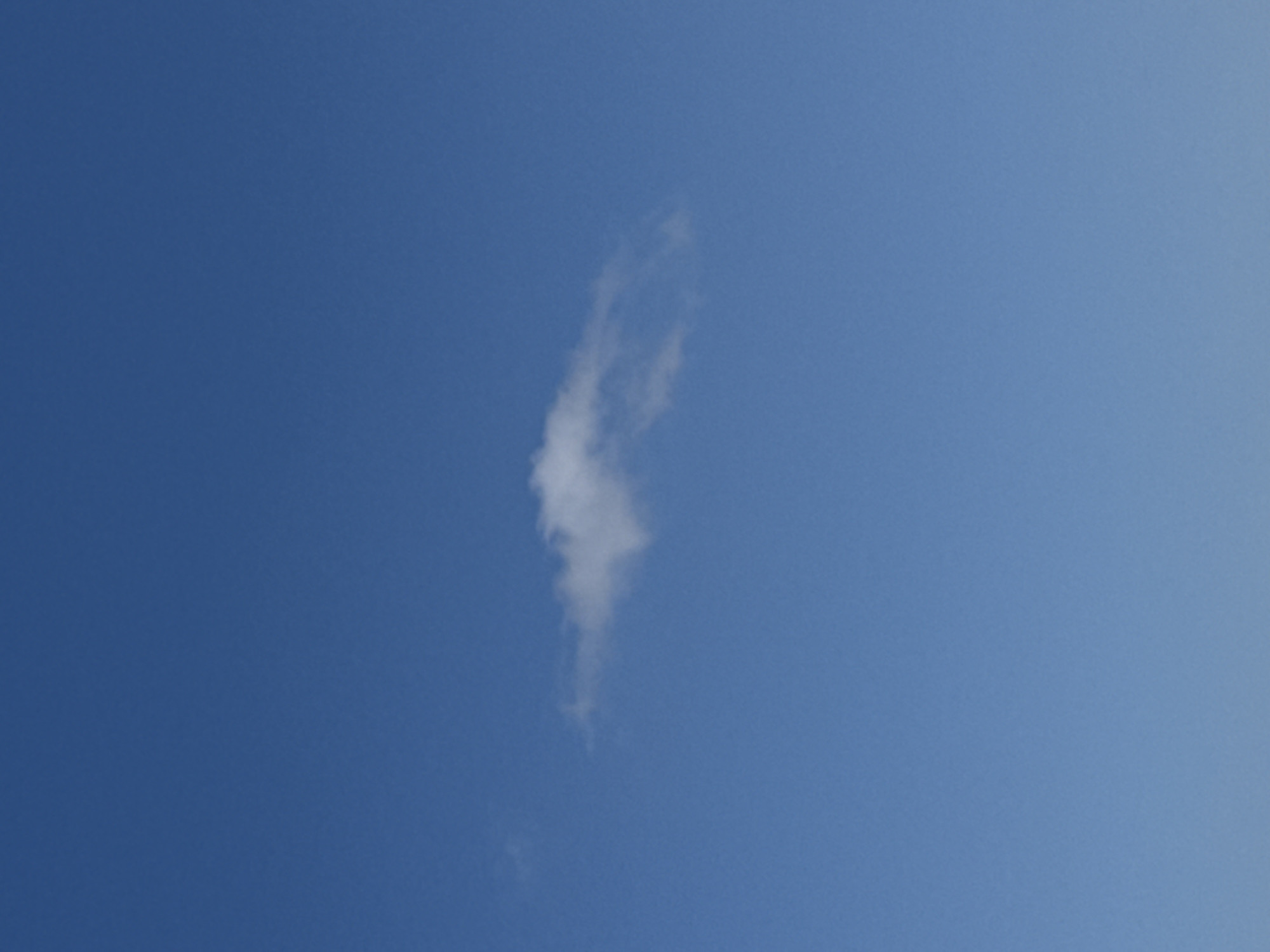 The image displays a solitary, elongated, and wispy white cloud set against a clear, bright blue sky. The cloud is positioned centrally, stretching vertically, with a slightly more defined base tapering into a translucent, feathery top. The sky is uniformly blue, suggesting a sunny daytime scene with fair weather. No other subjects such as people, objects, or structures are visible. There is no discernible activity or event occurring. No text is present in the image. The visual content itself does not offer specific cues to confirm the stated location of Lâm Viên - Đà Lạt, Vietnam.