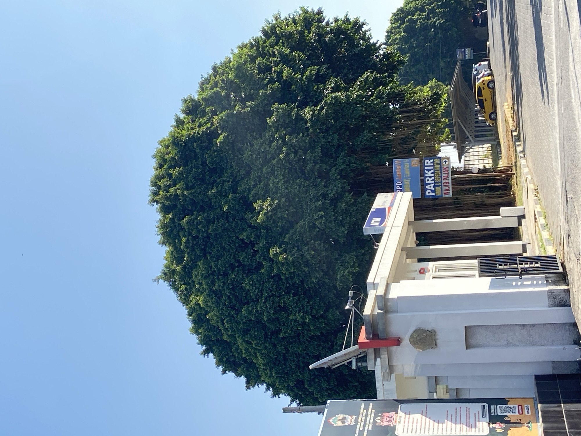 This is a street-level, eye-level, medium shot taken on a clear, sunny day in the city of Margorejo, Indonesia. The primary subject is a massive, mature banyan tree dominating the left and center of the frame, its lush green canopy stretching across the sky. In the foreground, a white security booth or guardhouse with a metal gate stands to the left, adorned with a crest on its facade. A satellite dish is mounted on the roof of the booth. To the right of the booth, a blue sign with white lettering reads "PARKIR MOBIL & SEPEDA MOTOR WAJIB PAJAK," indicating a parking area for cars and motorcycles where taxes are mandatory. Behind the sign, a covered parking structure is visible, with a yellow car parked beneath it, along with other vehicles. The road surface is paved with distinct cobblestone patterns, and a sidewalk runs alongside it. The environment appears to be an urban or semi-urban setting, with buildings and trees lining the street. The sky is a clear, bright blue with no visible clouds.