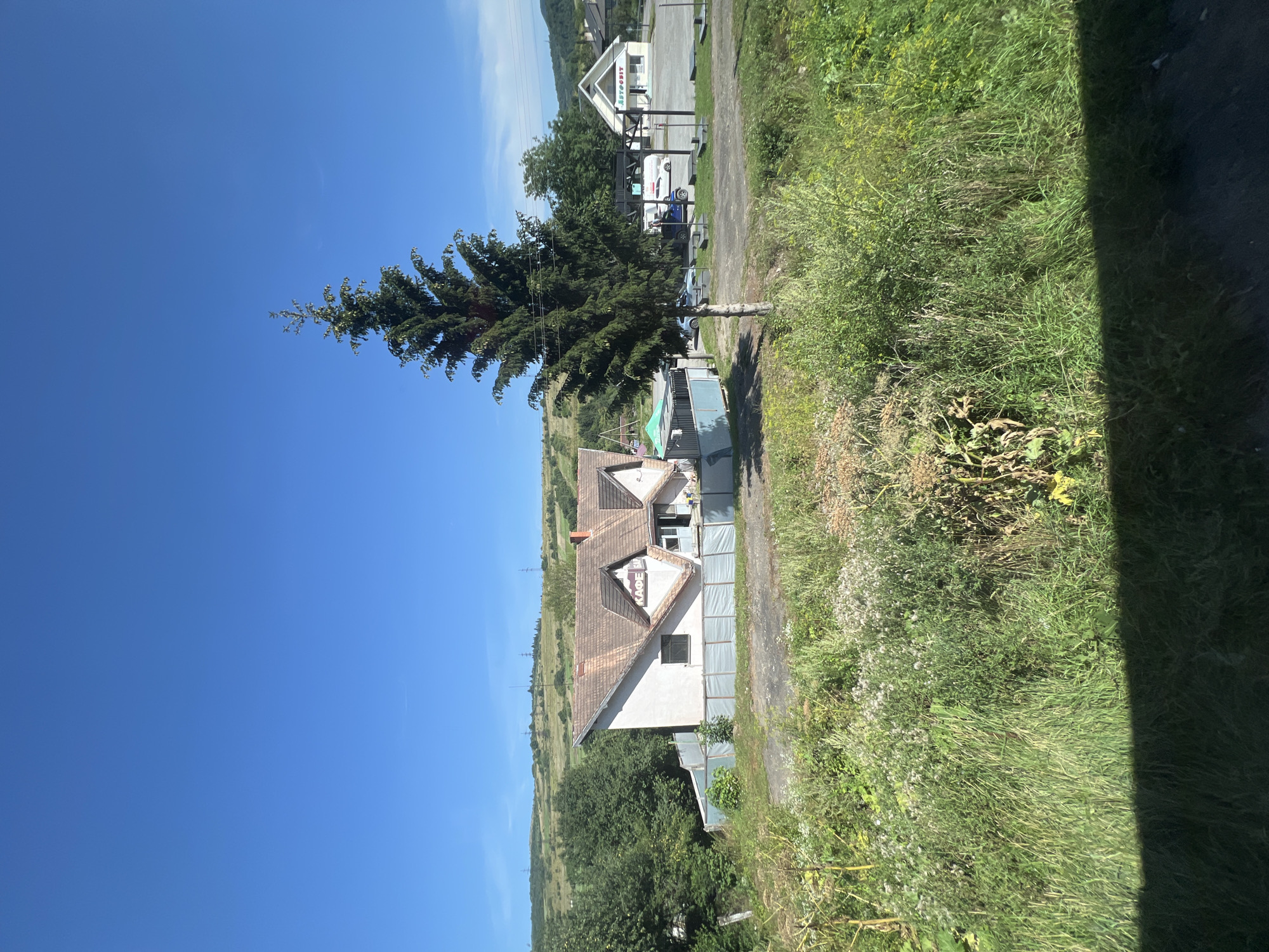 The image depicts a rural scene under a clear blue sky, with rolling green hills in the background. In the foreground and midground, there is an abundance of tall, wild grass and vegetation. To the left, a small, light-colored building with a terracotta roof is visible. A sign on the building reads "КАФЕ". A tall, dark green evergreen tree stands prominently in the midground, to the right of the building. Beyond the tree, a white building with a pointed roof and a sign that appears to read "АВТОСВІТ" is situated in a paved area, with several cars parked in front of it. The environment suggests a location in Nyzhni Vorota, Ukraine, likely a roadside establishment given the presence of a cafe and an auto-related business. There are no people visible in the frame.