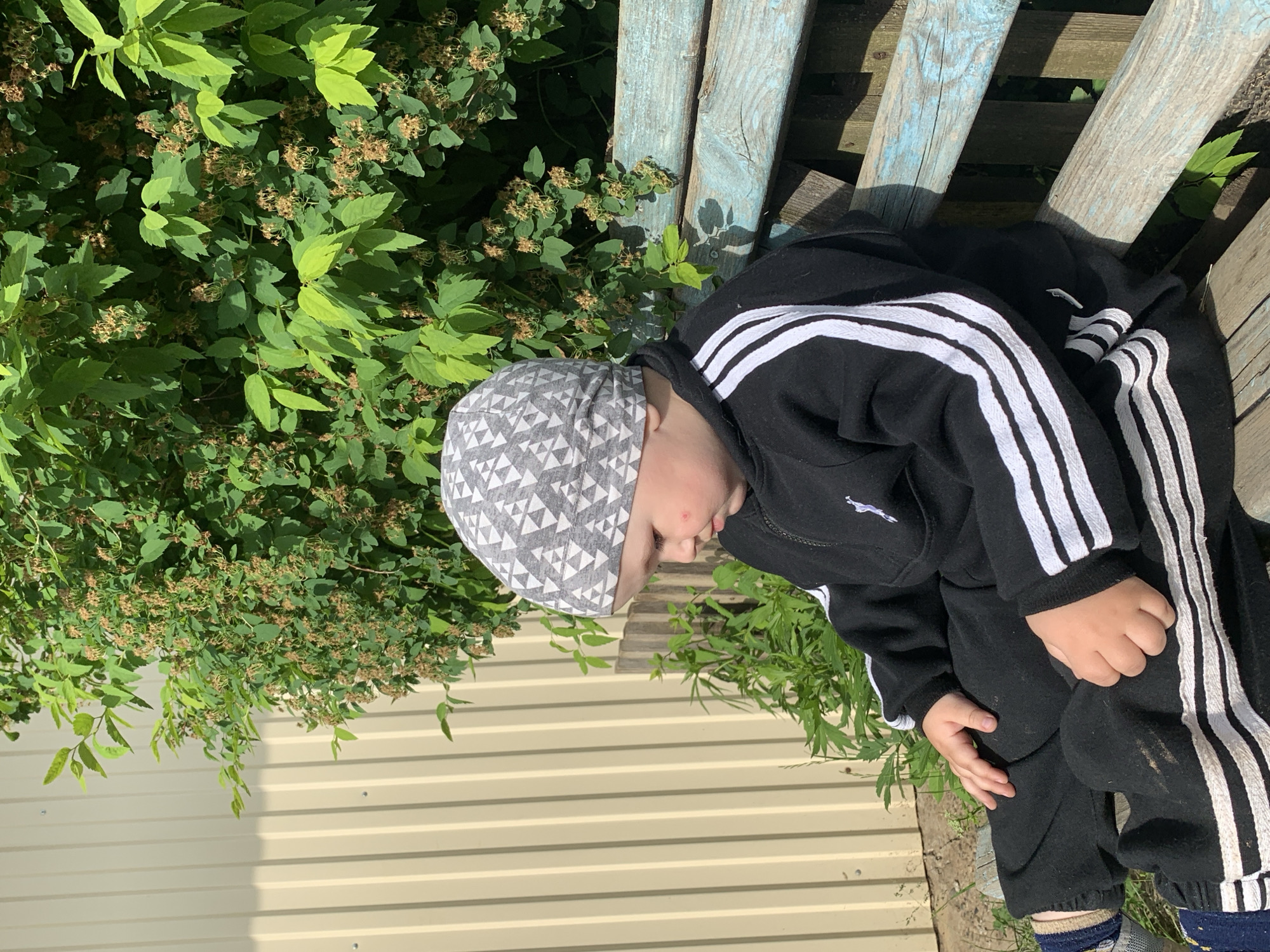 The image shows a young child sitting on an old, weathered wooden bench outdoors on a bright, sunny day. The child is wearing a black tracksuit with distinctive white stripes running down the sleeves and pant legs. A small white logo, resembling a puma or similar animal, is visible on the left side of the tracksuit top. A grey and white bandana with a geometric pattern covers the child's head. The child is looking downwards, with their hands resting on their lap or knees.
To the left and slightly behind the child is a dense bush with lush green leaves and clusters of small, dried seed pods or faded flowers, suggesting a late spring or summer season. The strong sunlight casts clear shadows on the bench and foliage, indicating clear weather. In the background, behind the greenery, there is a light-colored, possibly cream or beige, horizontally corrugated metal wall or siding of a building. The wooden bench shows signs of age, with peeling blue paint. The overall scene depicts a casual outdoor moment in what appears to be a garden or backyard setting in Фоки, Russia.