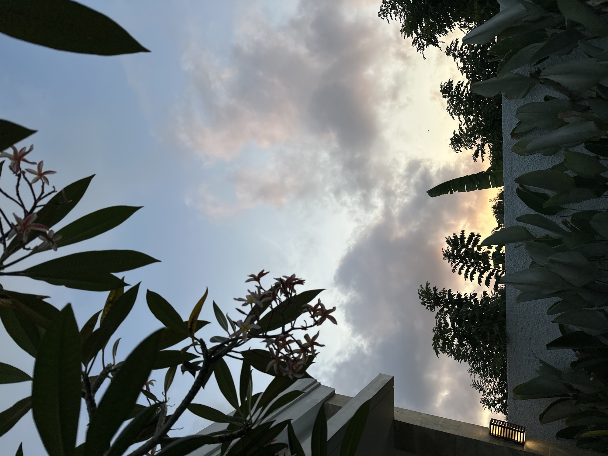 This is a low-angle, outdoor photograph taken at dusk in Kuta Selatan, Indonesia. The scene is framed by lush foliage and a modern architectural element, likely a building. In the foreground, large, dark green leaves of tropical plants are visible against a textured white wall. A modern outdoor wall lamp with a warm light is mounted on the left side of the wall.
Above the wall, silhouetted against the twilight sky, are various trees and plants. A frangipani tree with small, pale pink and white flowers and dark green leaves hangs from the upper left side of the frame, partially obscuring a white building structure. The sky is a blend of soft blues and grays, with streaks of pale pink and orange clouds indicating the setting sun. The overall atmosphere is serene and tropical.
