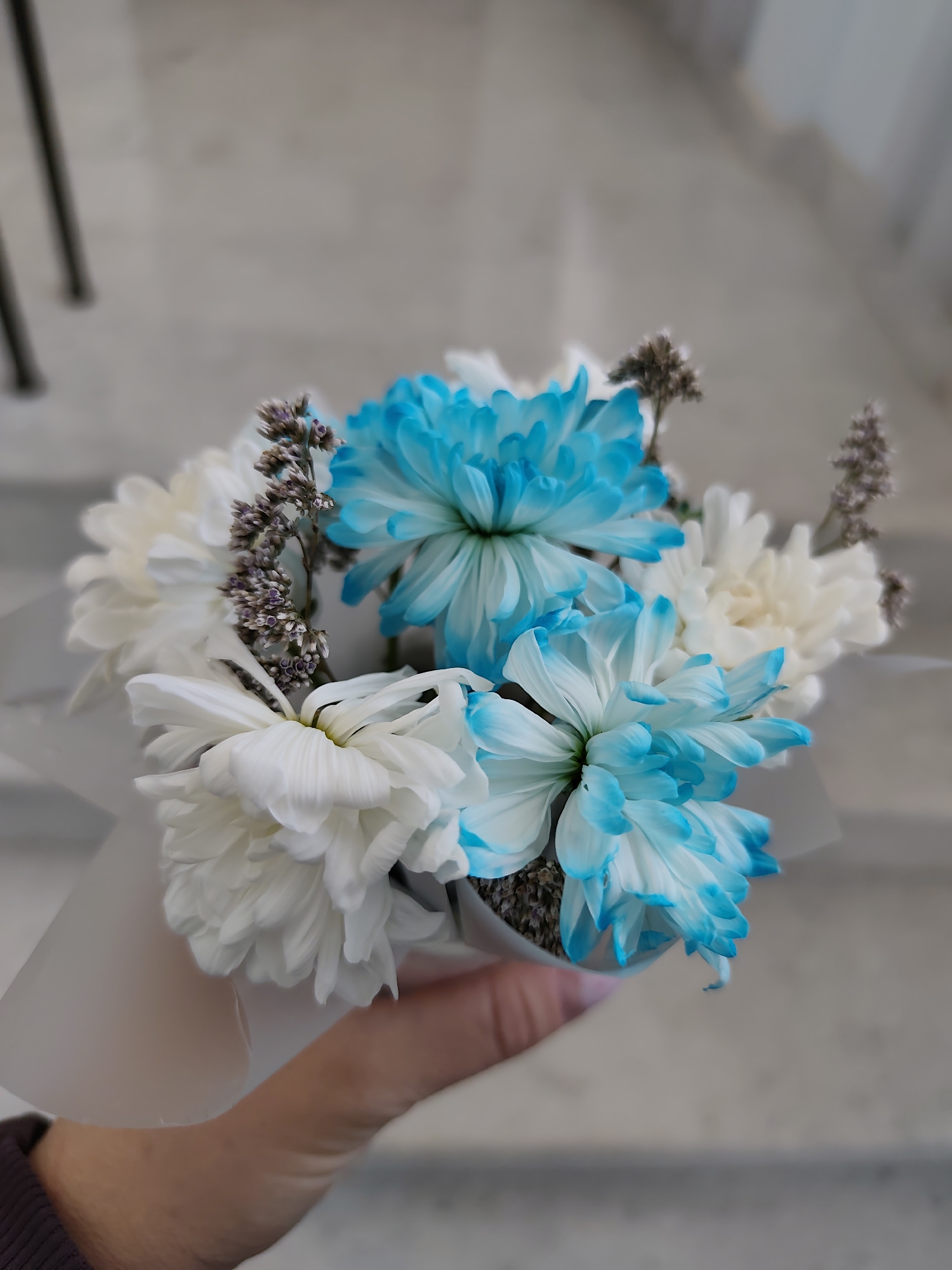 A hand holds a small bouquet of white and blue-tipped chrysanthemums. The bouquet is wrapped in translucent white paper. Small purple sprigs protrude amongst the flowers. The background is a blurry, light-colored surface, possibly a staircase. The location is indeterminate, and there is no evidence the photograph was taken in Chaikovsky, Russia.