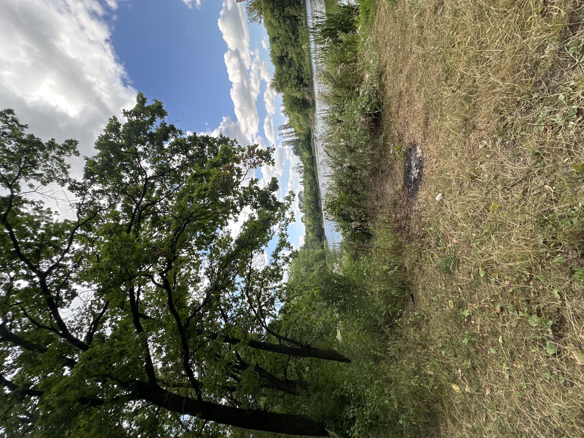 The image depicts a natural scene of a riverbank with lush green trees and vegetation. In the foreground, dry grass and some scattered leaves cover the ground. A small area of burnt material, possibly a campfire remnant, is visible in the middle ground. Beyond the vegetation, a calm river stretches towards the horizon, bordered by a dense line of trees on the opposite bank. The sky above is a bright blue, dotted with fluffy white clouds. The image appears to be taken in Makiv, Ukraine, given the provided context.