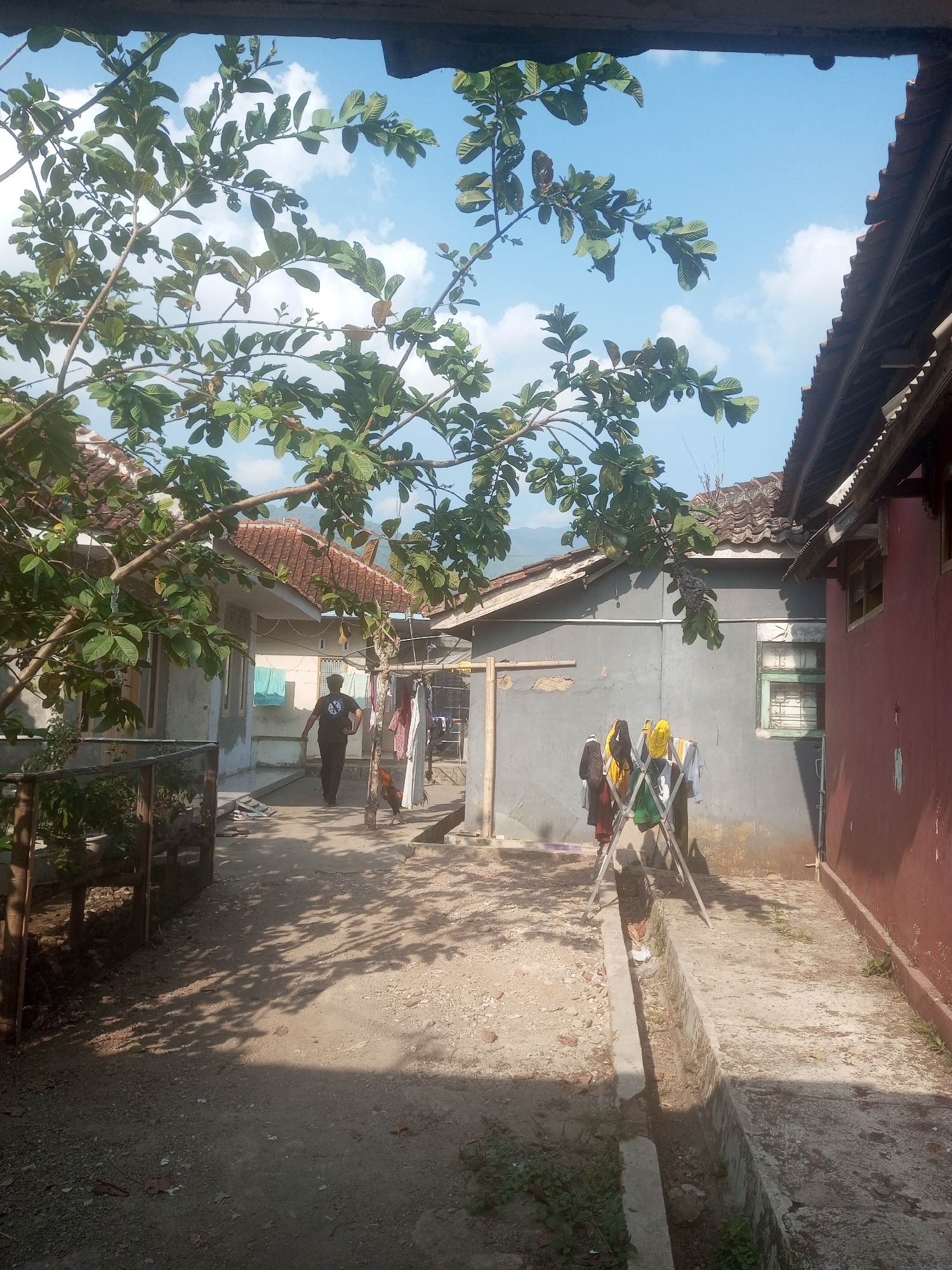 The image depicts a residential area in Tanjungpura, Indonesia, characterized by traditional housing with tiled roofs. In the foreground, a tree with green leaves branches over a dirt path. A person wearing a dark t-shirt and pants walks away from the camera down the path, which is partially shaded by the tree. To the right of the path, laundry is hung on a drying rack. A rooster stands on the path near the drying rack. Several houses with pale grey and reddish-brown exteriors are visible, separated by narrow walkways. The sky above is blue with scattered white clouds. A concrete drainage channel runs along the right side of the path.