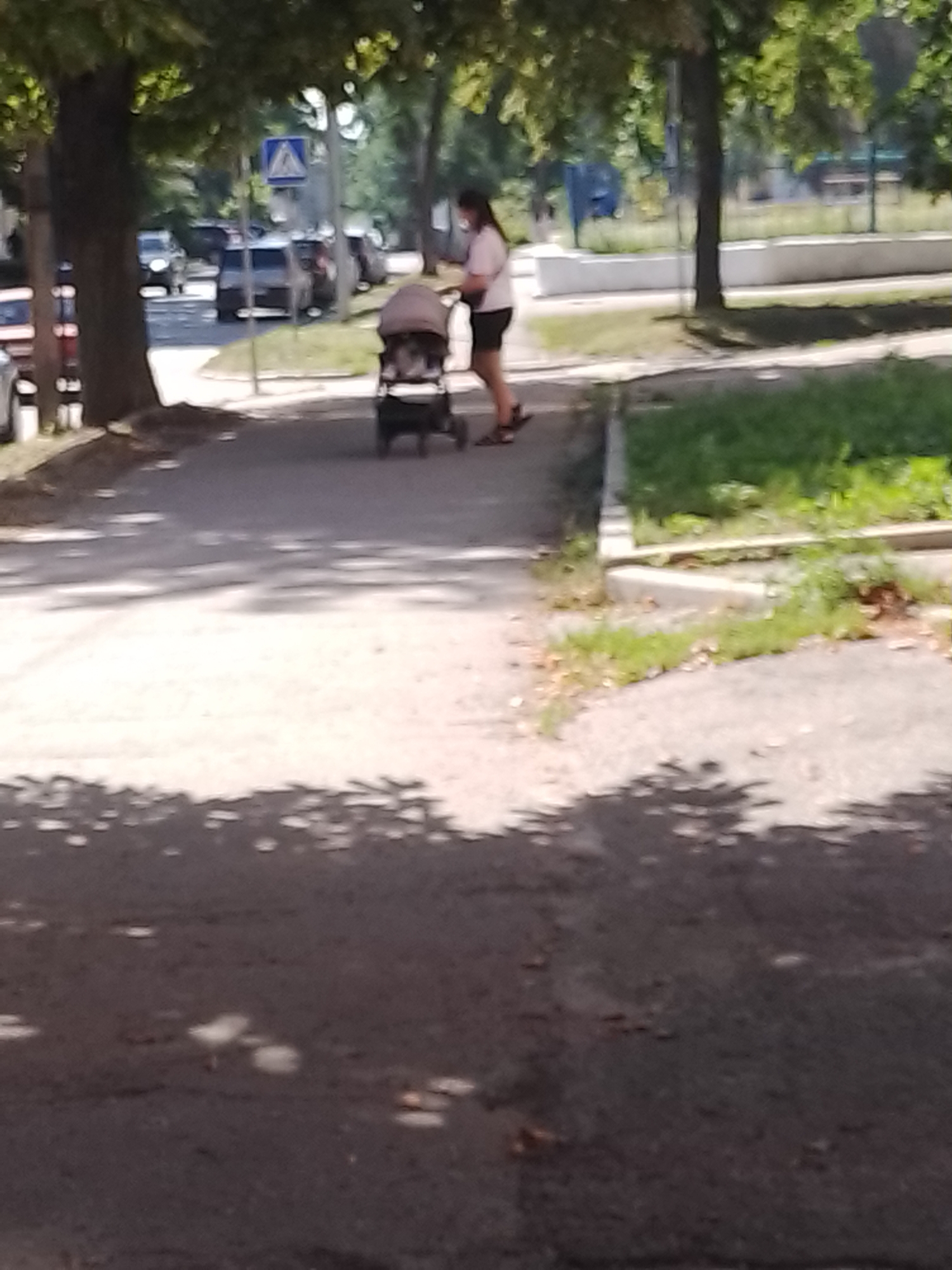A full-body, medium shot captures a woman pushing a baby stroller on a sidewalk in Poltava, Ukraine. She is wearing a light-colored short-sleeved shirt and dark shorts, with her back mostly to the camera. The baby stroller, a dark grey model, is in front of her. The background shows a tree-lined street with cars and a pedestrian crossing sign. Sunlight casts shadows from the trees onto the asphalt. The overall scene depicts a typical urban environment on a bright, sunny day.