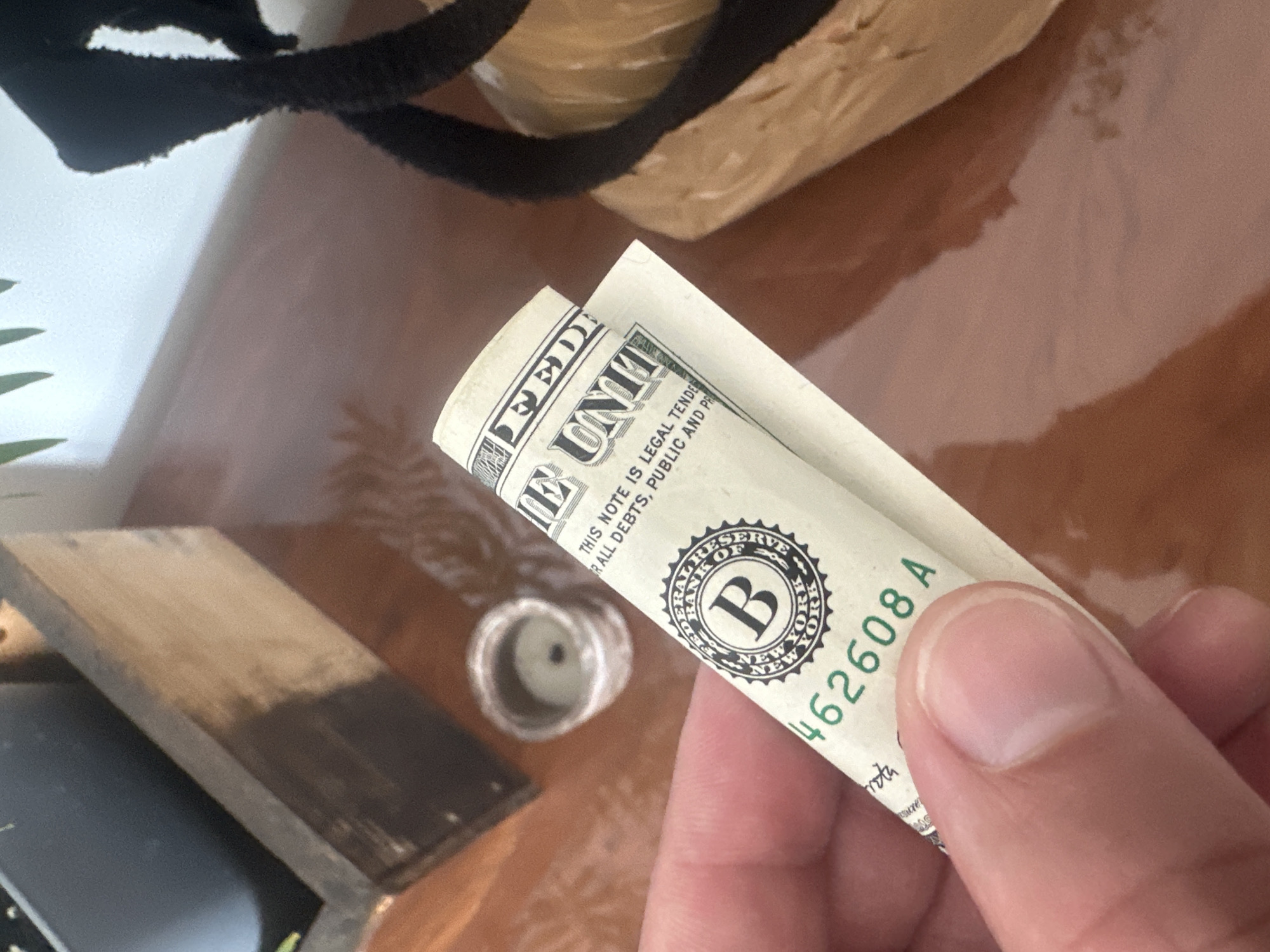 A rolled-up US dollar bill is held in a person's hand. The bill is partially visible, showing the words "FEDERAL RESERVE NOTE" and "THE UNITED STATES OF AMERICA". A circular seal with the letter "B" in the center is also visible. The bill is on a polished, brown surface, possibly a table. In the background, a wooden box with plants and a black furry object are present. The scene is lit by natural light. There is no identifiable information about the location in Zvezdara Urban Municipality, Serbia.
