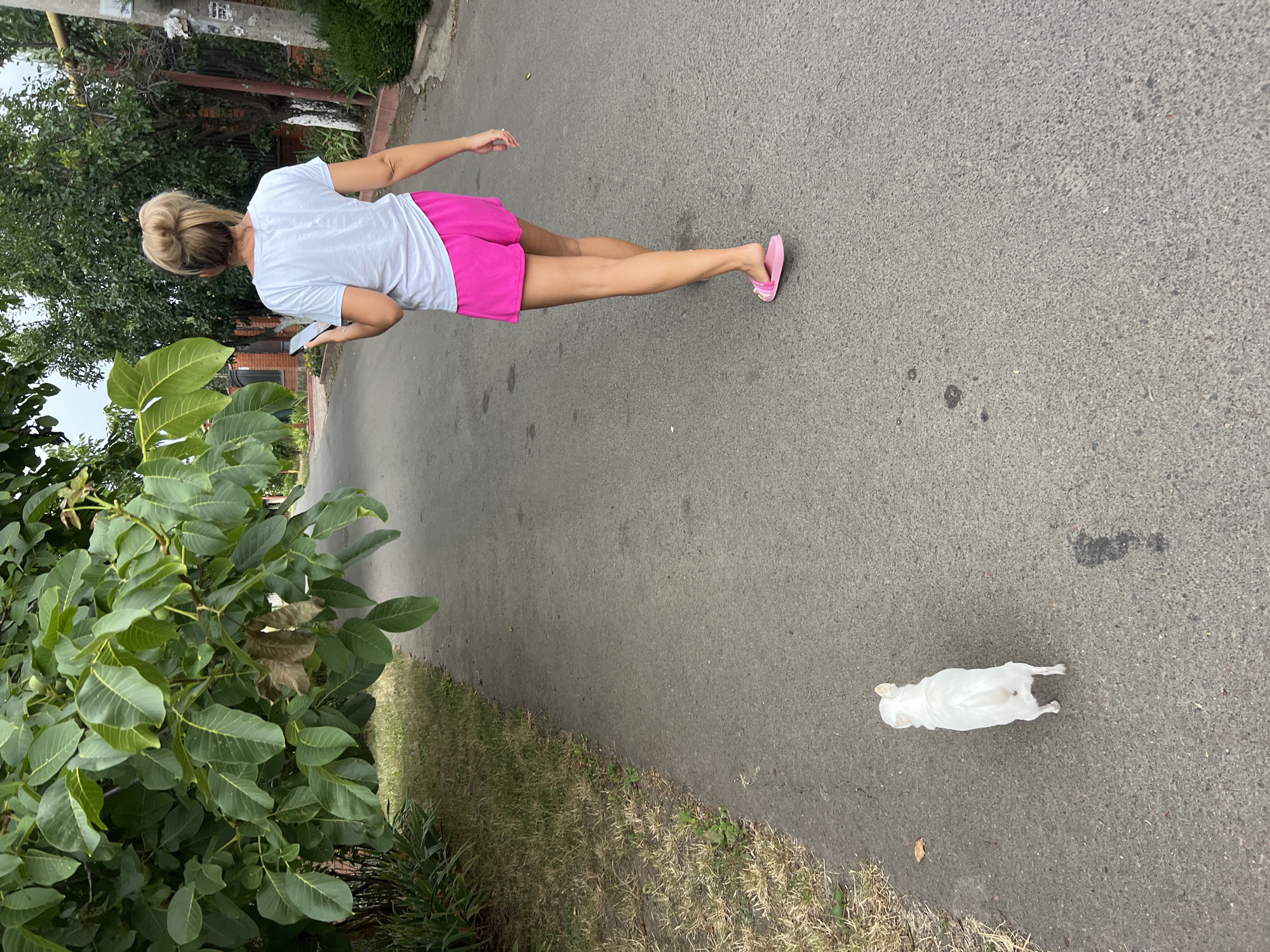 In this medium shot, taken from a high angle, a woman with blonde hair pulled back in a bun walks along an asphalt path lined with grass and trees. She is wearing a white t-shirt, bright pink shorts, and pink flip-flops. Her left hand is extended as if to steady herself, and her right hand holds a smartphone. She appears to be looking down at the phone as she walks. In the distance, a small white dog lies on the asphalt, facing away from the camera, with its hind legs splayed. The scene suggests a casual outdoor setting, possibly a park or a quiet street in Fontanka, Ukraine. The lighting indicates it is daytime, likely overcast given the soft shadows. The overall mood is serene and unremarkable, capturing a moment of everyday life. No visible text is present in the image.