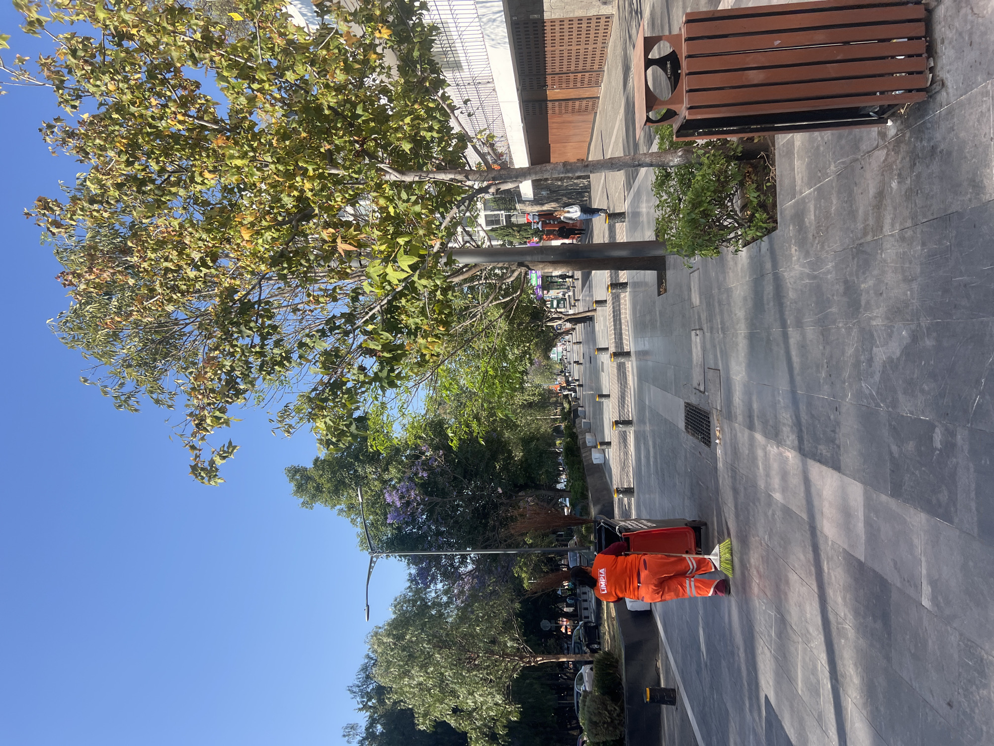 The image depicts a sidewalk in Puebla, Mexico, with a sanitation worker sweeping debris. The worker is wearing bright orange clothing with the word "LIMPIA" on their back. The sidewalk is made of large gray stone tiles and is lined with trees planted in rectangular planters. There are also wooden benches with metal frames along the sidewalk. In the background, there are buildings with glass and brick facades. The sky is clear and blue. There are other people in the background. The image is taken from a slightly elevated perspective and rotated.
