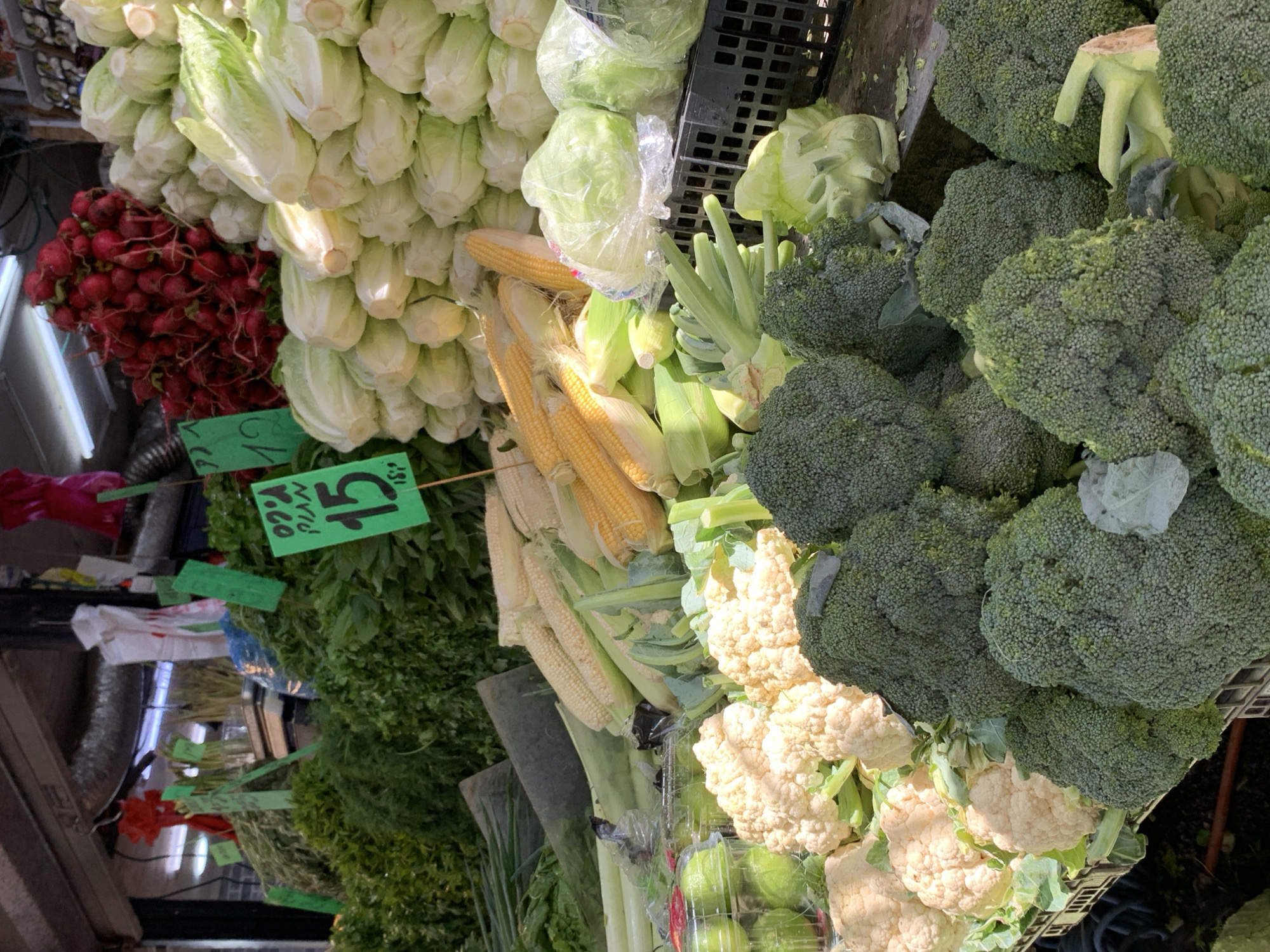 This media file displays a vibrant assortment of fresh produce, likely at an outdoor market in Tel-Aviv, Israel. The scene is dominated by large quantities of vegetables, showcasing a variety of colors and textures.
Prominently featured are heads of pale green lettuce, tightly packed and stacked. Next to them, a generous bunch of bright red radishes adds a pop of color. Further into the frame, several ears of corn, some still in their husks, are displayed. Broccoli florets, a deep green hue, are piled high in crates, some with visible stems. Adjacent to the broccoli are heads of creamy white cauliflower, also in abundance. A variety of leafy green herbs, possibly parsley or cilantro, are bundled together and hang downwards, with several green price tags attached. One tag clearly reads "15" in a stylized font, with smaller text below that is partially obscured.
The lighting suggests daytime, possibly morning or afternoon, with sunlight illuminating the produce. The setting appears to be a market stall, indicated by the crates, hanging produce, and visible price tags. The overall impression is one of a bountiful and fresh harvest, typical of a bustling produce market. There are no people visible in the frame, making the produce itself the sole subject. The overall mood is one of abundance and freshness, characteristic of a local food market.