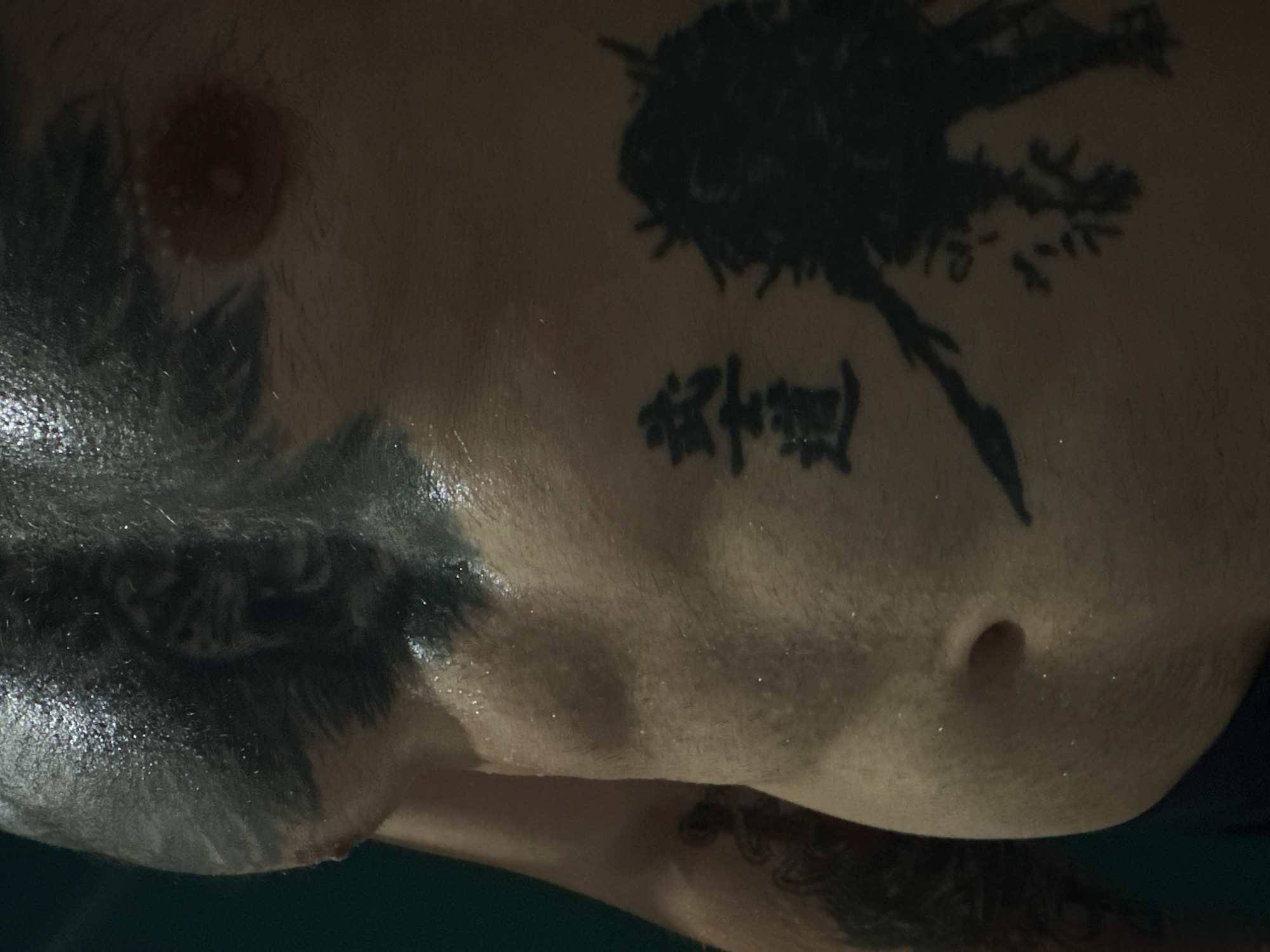 Close-up shot of a torso with a nipple at the top left, tattoos, and a navel to the right. The skin appears to be glistening or oily. The tattoos are black ink. One is a stylized tree or plant, and another includes Chinese characters. A partially visible arm with additional tattoos is visible in the lower part of the image. The location in the city of Unknown, Unknown is not determined.