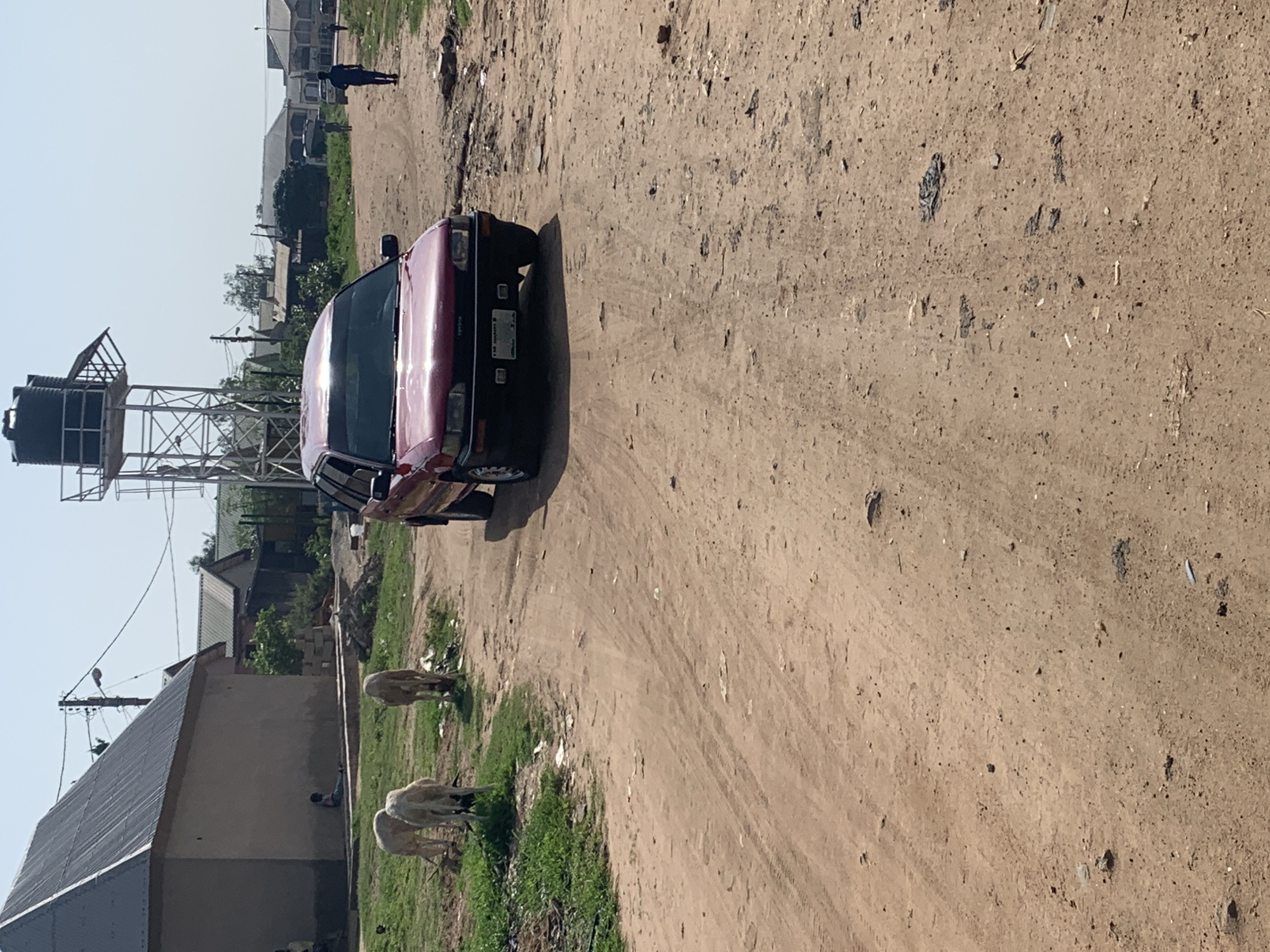 In an outdoor, urban environment under a clear sky, a maroon Toyota wagon is parked on a dirt road. The car is positioned facing forward, with its front end slightly angled towards the right of the frame. Two sheep are grazing on a patch of grass to the left of the car, while another sheep stands near them. In the background, there is a large, gray, gabled building with a metal roof on the left, and a tall water tower with a dark blue tank is visible on the right, further down the road. Several other buildings and structures are scattered throughout the background. A person in a dark blue shirt is walking away from the camera in the middle ground on the right side of the road. The road itself is unpaved and appears dusty, with tire tracks visible in the dirt. Small debris and stones are scattered across the road surface.