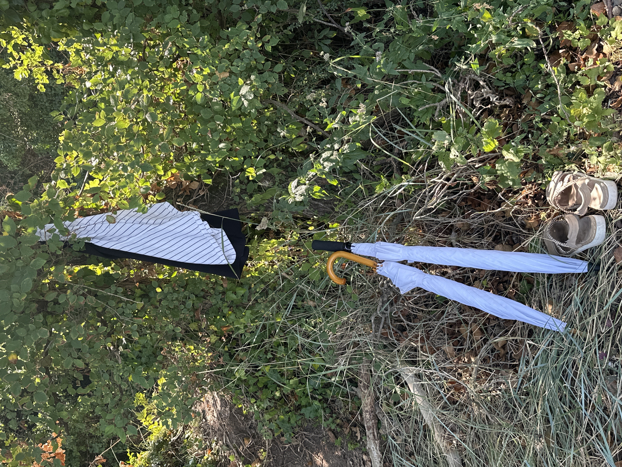 The image depicts a scene outdoors, likely in a natural or semi-natural environment within Ankaran/Ancarano, Slovenia. A striped garment, possibly a shirt, is hanging from a tree branch amidst green foliage. Below the tree, two closed white umbrellas with orange handles are leaning against each other on the ground, which is covered with dry grass and fallen leaves. In the foreground, a pair of tan sandals are placed side-by-side on the grass. The scene is illuminated by sunlight, suggesting it is daytime. The background consists of dense green vegetation and trees.