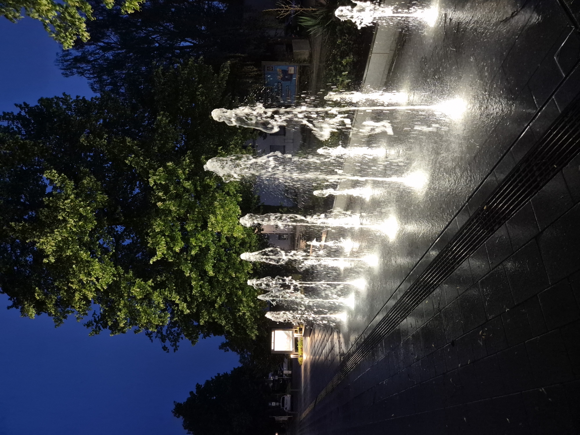 This is a nighttime photograph of a water feature in Ergolding, Germany. The scene captures a row of illuminated fountains spraying water upwards, creating a shimmering effect on the wet pavement. The pavement itself is made of dark, interlocking stones, with a metal grate running along the edge of the fountain area. Lush green trees line the background, their leaves illuminated from below by the fountain lights, creating a dramatic contrast against the dark blue night sky. In the distance, there are signs, parked cars, and buildings, indicating an urban or semi-urban setting. The overall impression is one of a tranquil, modern public space at night.