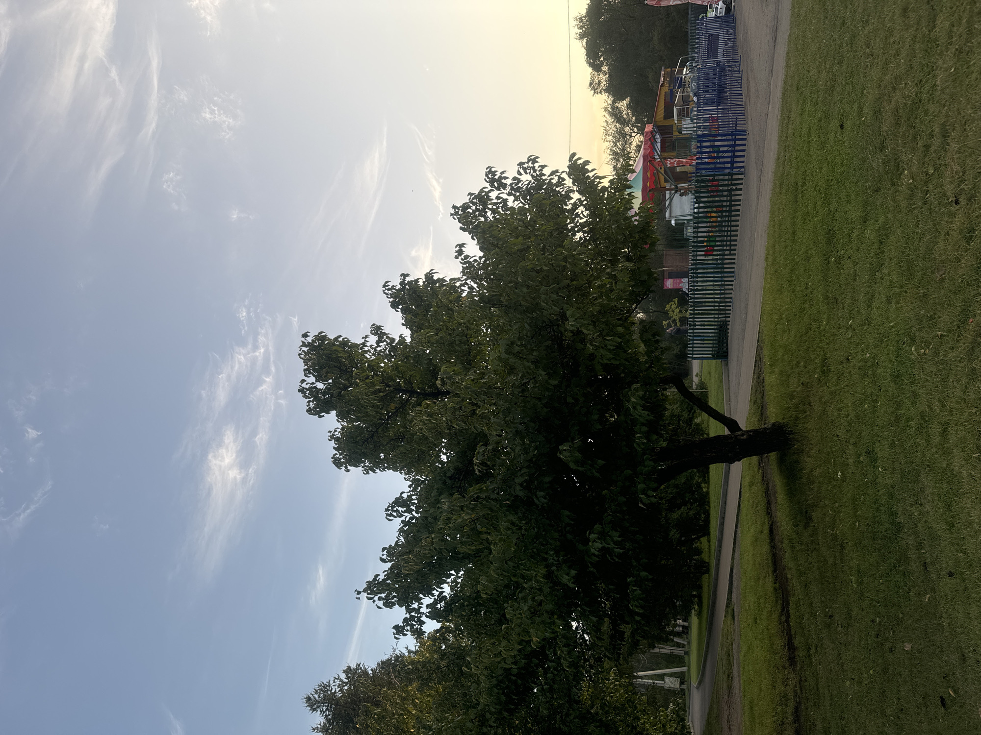 The image depicts a park scene in Irkutsk, Russia, bathed in the soft light of late afternoon or early evening. A prominent, leafy tree stands in the foreground, its dark green foliage creating a strong silhouette against the pale blue sky. The sky is streaked with wispy white clouds, suggesting fair weather with a gentle breeze.
Behind the tree, a small amusement area is visible, enclosed by a colorful fence made of green and blue vertical slats. Within the fenced area, a small, brightly colored amusement ride, possibly a carousel or a kiddie ride, is set up with a red and yellow striped canopy. The overall impression is of a peaceful, recreational space within the city. The ground is covered in green grass, with a paved path curving through the park in the mid-ground. A few indistinct figures can be seen near the amusement area, suggesting its active use. The presence of trees and a well-maintained grassy area points to this being a typical urban park designed for relaxation and leisure.