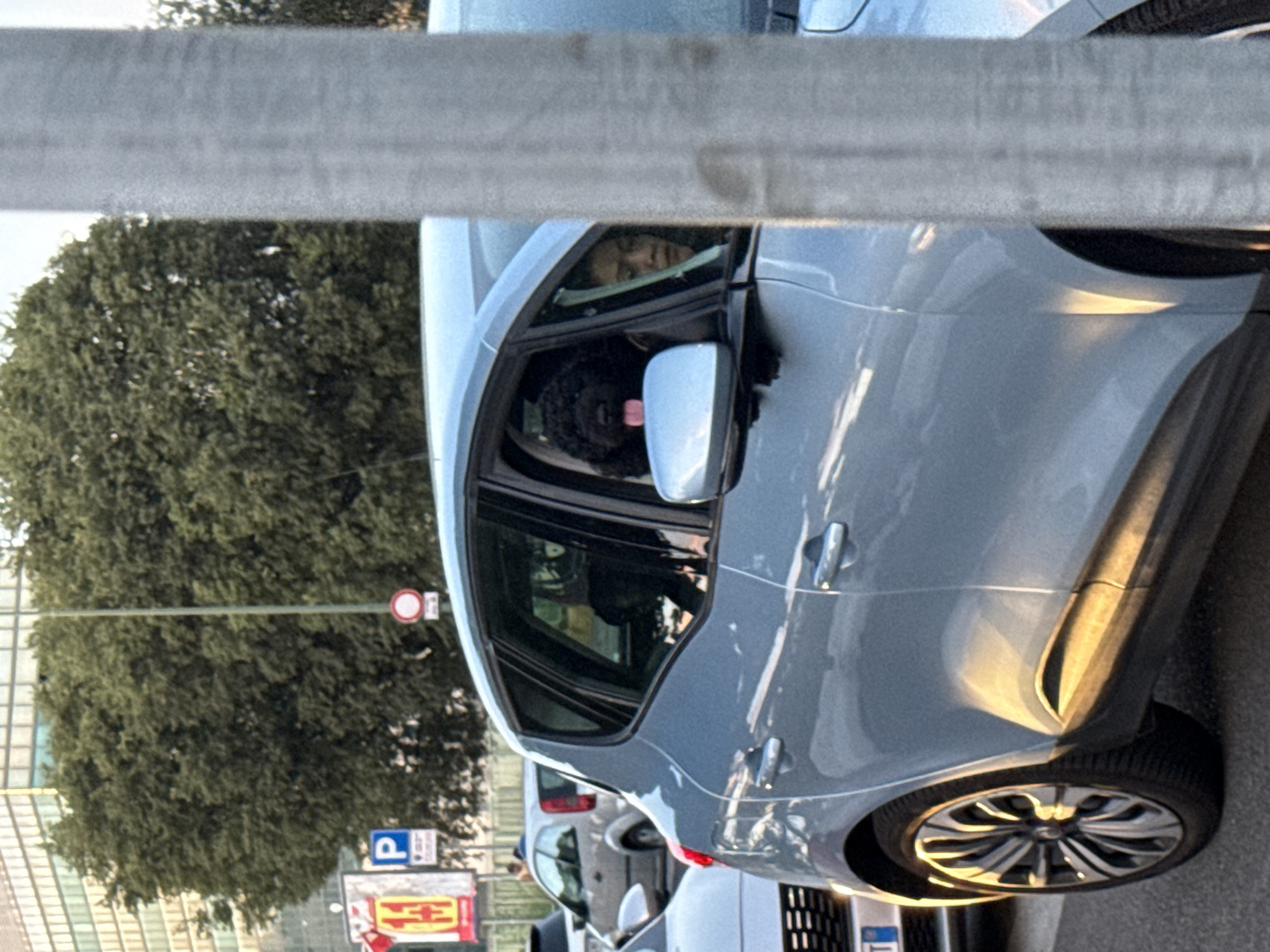 A light blue hatchback car is parked on a city street in Sesto San Giovanni, Italy. The car is viewed from the side and slightly from the front. A black poodle with its tongue sticking out is visible in the driver's side window, looking out. To the right of the dog, a person's face is visible through the window, looking forward. The car's windows are partially open. In the background, there are trees, a building, and street signs, including a parking sign. The sun is reflecting off the car's surface. A metal pole is in the foreground on the right side of the image, partially obscuring the car. The car appears to be in traffic.