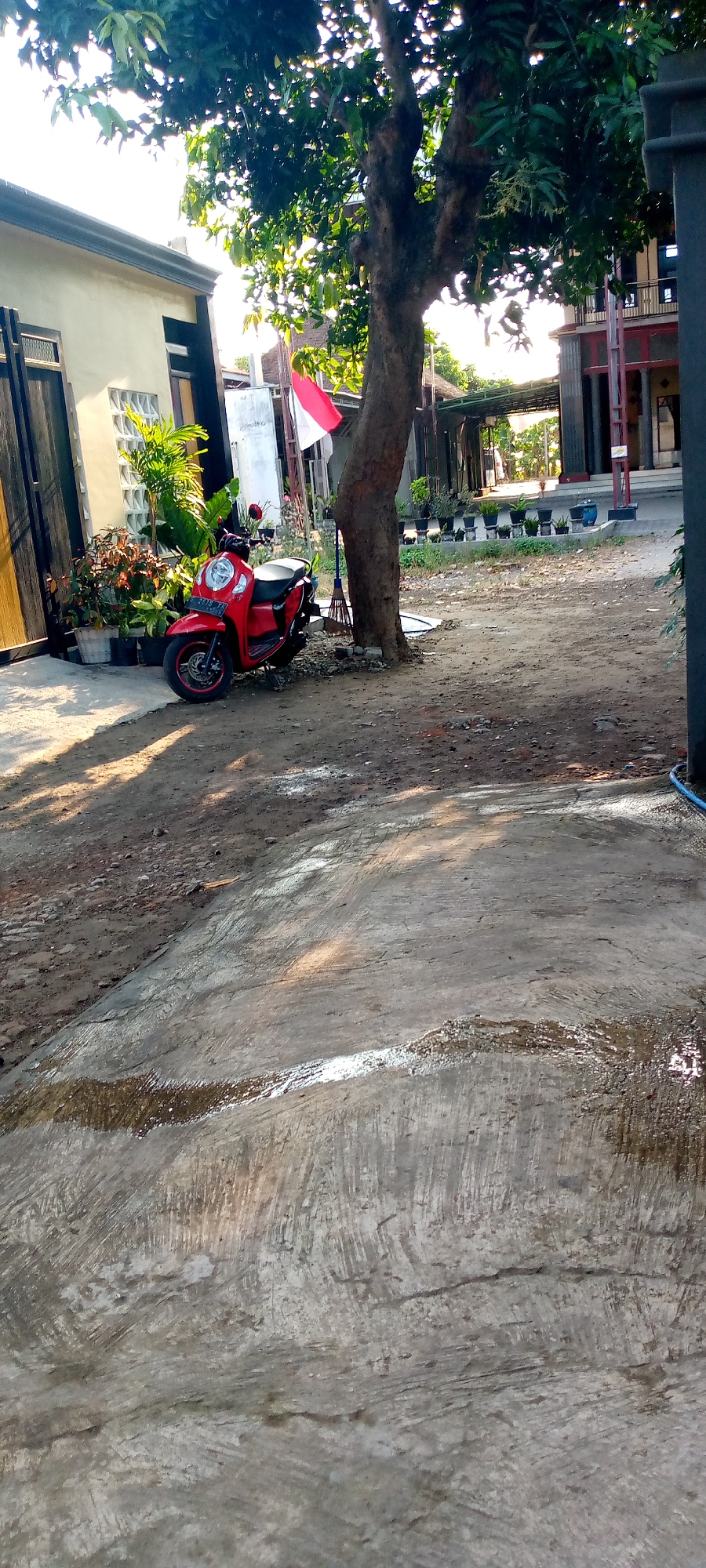 The image depicts an outdoor scene in Sumberwono, Indonesia, likely a residential area or a courtyard. In the foreground, a concrete surface with distinct trowel marks and damp patches is visible, reflecting sunlight. To the left, a red scooter is parked on a dirt and gravel path. Behind the scooter, a light-colored building with dark trim and a window featuring ventilation blocks is present. Several potted plants, including some with broad green leaves and others with red-tinged foliage, are arranged near the building. A large tree with a thick, textured trunk stands prominently in the middle ground, its branches casting shadows across the scene. An Indonesian flag, red and white, is mounted on a pole behind the tree. In the background, a structure with dark vertical supports and a shaded walkway or porch can be seen, along with more potted plants arranged in a row. The overall environment suggests a warm, possibly humid, climate with ample sunlight.