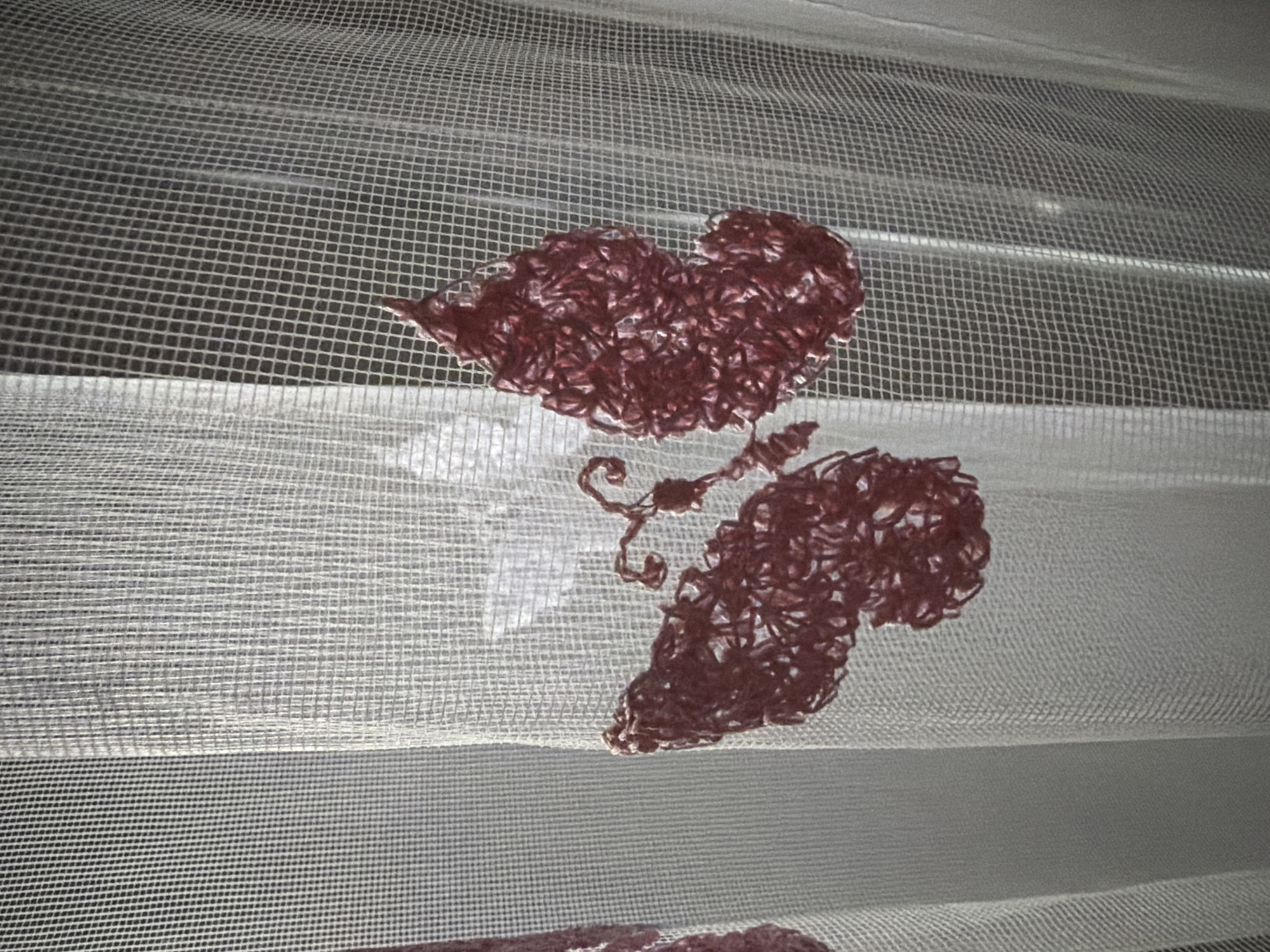 The image shows a close-up of a window shade with two dark, roughly heart-shaped designs attached to the sheer, grid-like material. The designs appear to be made of a coarse, woven material. The background consists of alternating translucent and solid horizontal stripes, typical of roller shades. The location and city are unknown.