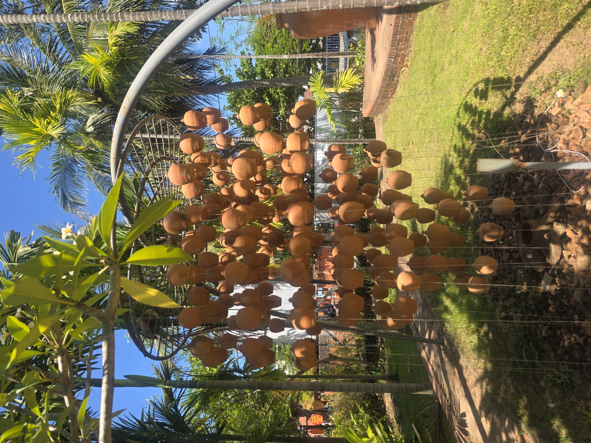 An outdoor scene captures a decorative installation featuring numerous small, unglazed terracotta pots or gourds. These reddish-brown objects are suspended by thin wires or strings from a large, grey, arched metal structure, forming an overhead canopy or tunnel. The pots hang at various heights in multiple rows, creating a textured, organic ceiling.
The setting is a vibrant tropical garden or park under a clear, bright blue sky, indicating sunny daytime weather. Lush green foliage surrounds the installation, with several tall palm trees prominent in the background and along the sides of the frame. A plumeria plant with green leaves and small white flowers is visible in the foreground to the left.
The ground features distinct areas: to the right, there's a patch of neatly kept green grass, bordered by a reddish-brown brick-lined planter or pathway. To the left, the ground is covered with bark chips or small stones, where a metal support pole for the arch stands, casting a long shadow. A tiny white flower can be seen growing near the base of this pole. In the distance, through and beyond the hanging pots, glimpses of other buildings, possibly with red roofs, and a blue fence are visible. No people are present, and no discernible text can be read on any distant signs. The scene evokes a peaceful and aesthetically pleasing outdoor environment.