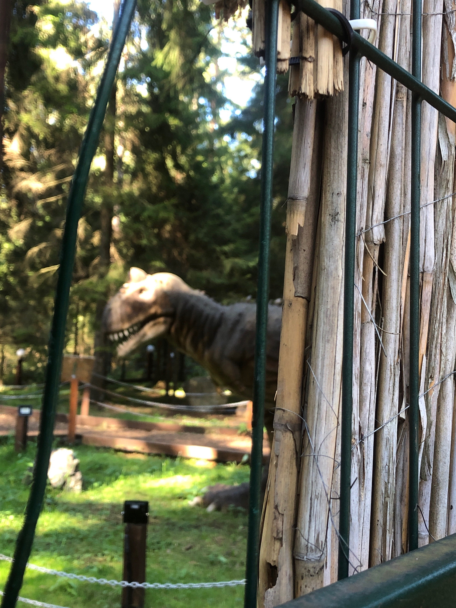 The image shows a dinosaur exhibit in Okhtinskiy Park, Russia. A realistic model of a Tyrannosaurus Rex is visible behind a fence made of bamboo and green metal bars. The dinosaur is brown and gray with sharp teeth. The background is a lush forest with sunlight filtering through the trees. The ground is covered in green grass, and there are wooden pathways and posts. The scene appears to be a well-maintained park environment.