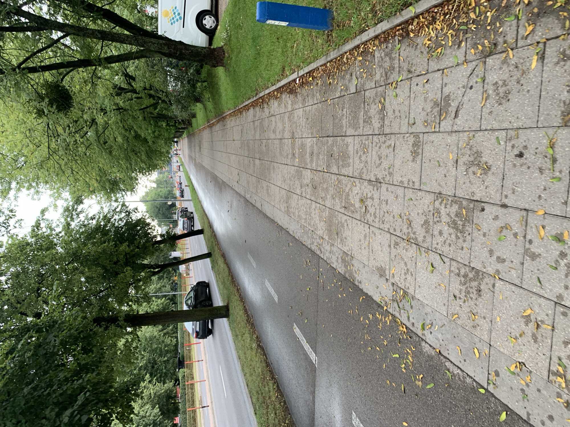The image depicts a street scene in Białystok, Poland, featuring a paved sidewalk with square gray tiles, interspersed with fallen leaves. Adjacent to the sidewalk is a bike lane marked with white lines. Beyond the bike lane is a road with moving cars and trees lining the street. A blue cylindrical object is positioned on the grass next to the sidewalk. The weather appears overcast, and the pavement shows signs of wetness, suggesting recent rain. The trees are lush and green, indicating a summer or early autumn setting.