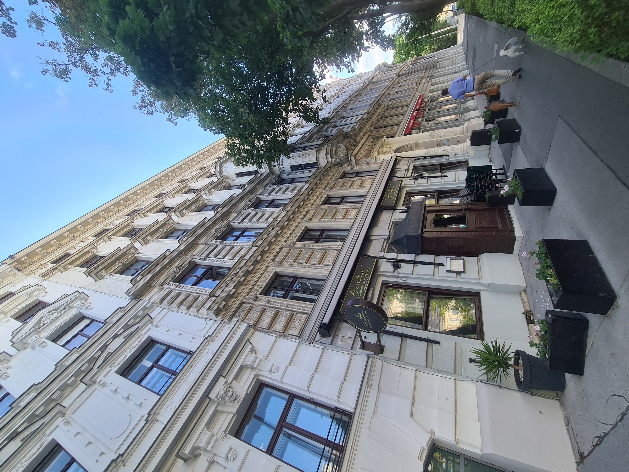 This is a photograph taken on a clear day in Vienna, Austria, looking up at the facade of a multi-story building. The architecture appears to be of a classical European style, with ornate details, balconies, and numerous windows. The building is painted in a light color, possibly white or cream, with contrasting darker window frames.
On the ground floor, there is a business with a prominent sign that reads "Henna SCANDINAVIAN FEELING". The entrance to this establishment is visible, featuring a dark wooden door and an awning. Planters with greenery and flowers are positioned along the sidewalk in front of the building.
A man is walking on the sidewalk, holding leashes for two dogs. One dog is a reddish-brown color, and the other is white and fluffy. The man is wearing a blue shirt and light-colored pants. He is walking away from the camera, towards the right side of the frame.
Trees with lush green foliage line the sidewalk on the right side of the image, partially obscuring a longer stretch of the building's facade which extends into the distance. The sky above is blue with a few wispy clouds. The perspective of the photograph is slightly tilted, giving a dynamic view of the urban environment. The presence of a building with this architectural style and the apparent presence of a cafe or restaurant suggests a location in a historic district of Vienna.