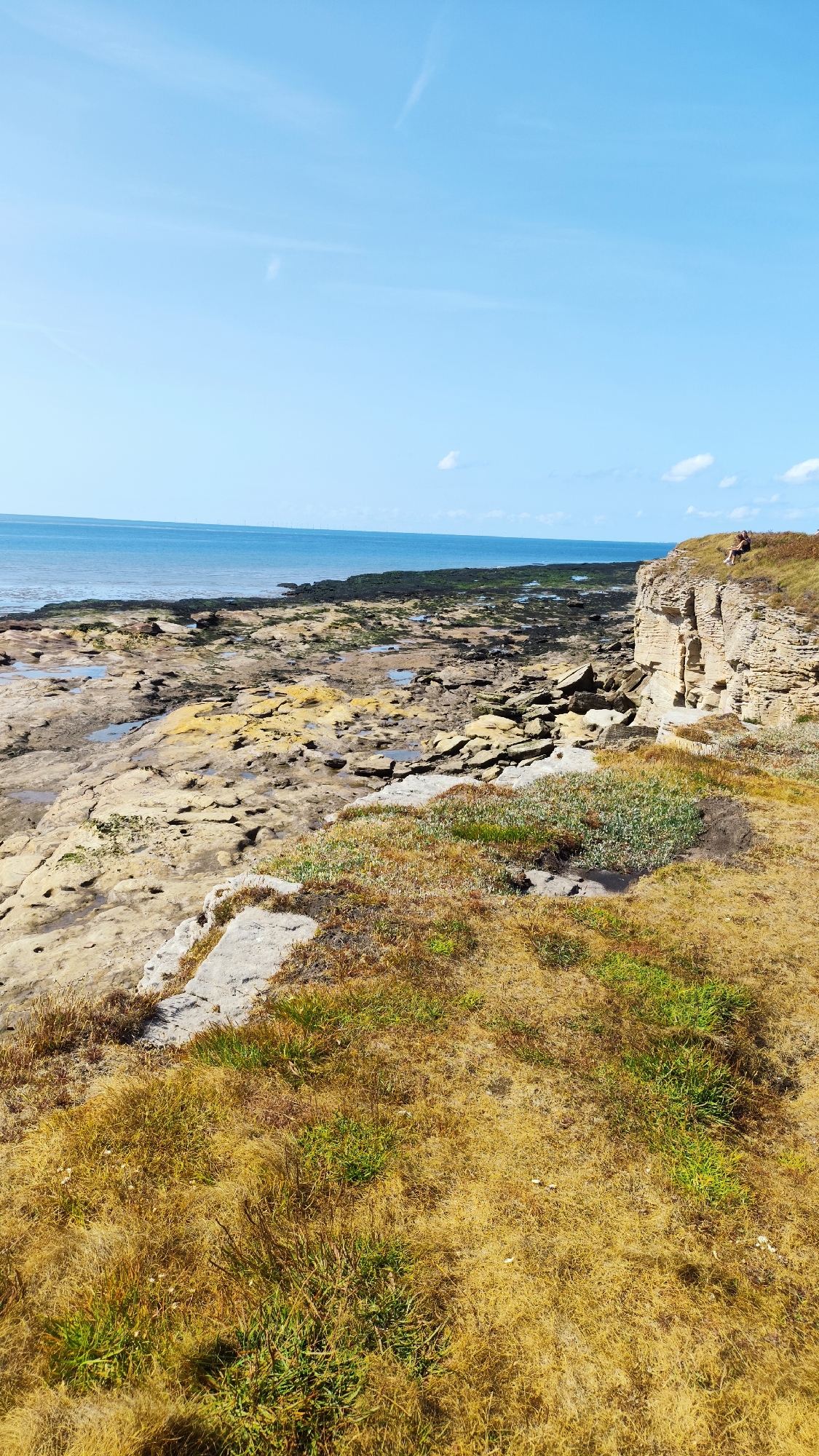 The image shows a rocky coastline at low tide in West Kirby, United Kingdom. The foreground is dominated by dry, golden grass and scattered patches of green vegetation, with some light grey rocks. A sheer, light brown cliff face rises on the right side of the frame, with a person sitting on its grassy top. Below the cliff, the rocky shore extends to the sea, featuring a mosaic of various rock formations, some of which are wet and reflective, indicating the receding tide. Darker, seaweed-covered rocks are visible closer to the water's edge. The sea is a deep blue, stretching to the horizon where it meets a clear, light blue sky with a few wispy white clouds. In the distance, on the horizon, faint outlines of wind turbines can be seen. The overall impression is a natural coastal landscape under a bright, sunny sky.