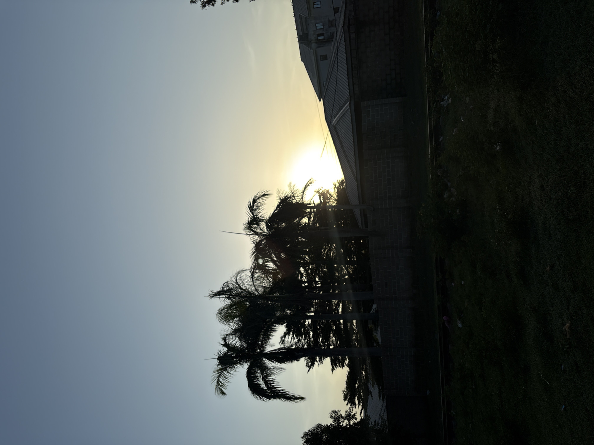 The image depicts a silhouette of palm trees and dense foliage against a hazy sky with the sun setting. A brick wall runs horizontally across the mid-ground, separating the trees from a building with a grey, corrugated roof. Beyond this structure, a multi-story building with visible windows stands in the background. The foreground is dominated by dark, shadowy vegetation, suggesting a grassy or bushy area. The scene appears to be an outdoor environment within the city of Bukuru, Nigeria, during the late afternoon or early evening. There are no visible people or ongoing actions in the image.