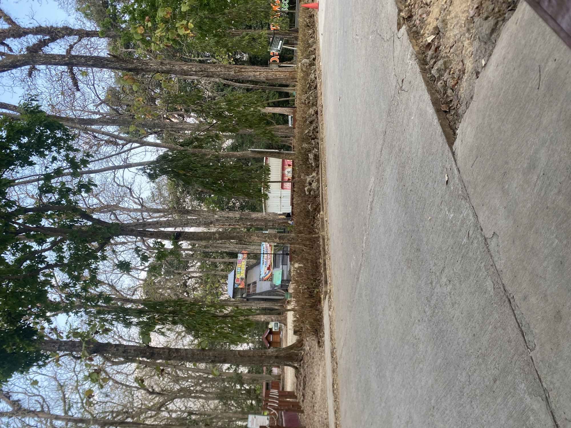 An outdoor scene depicts a paved walkway and road bordered by trees and a dry brush line. In the background, a small amusement park structure with a slide labeled "RAINBOW SLIDE" is visible, along with signs. To the left, there are some wooden fences and small structures, possibly restrooms or booths. The ground is covered in dry leaves and dirt. The sky is clear and bright.