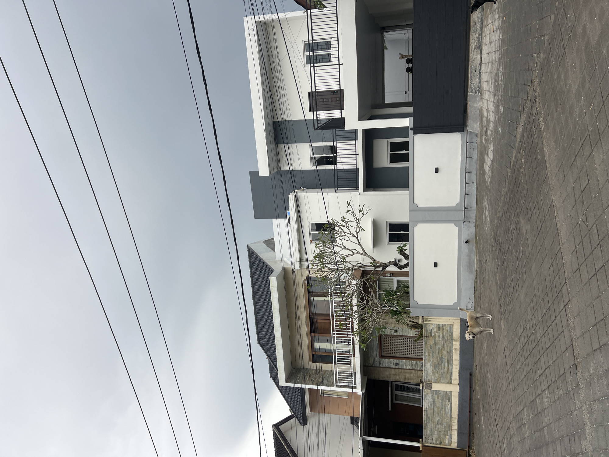 This image captures a street scene in Kuta Selatan, Indonesia, depicting modern residential buildings under an overcast sky. Numerous dark power lines crisscross the upper left portion of the frame, contrasting with the pale gray sky.
In the foreground and midground, two multi-story houses dominate the scene. The architecture is contemporary, featuring clean lines, flat surfaces, and a color palette primarily composed of white and dark gray. Some sections incorporate brown accents and stone cladding. The buildings have balconies with black metal railings and various windows. Dark-tiled roofs are visible on both structures. In front of the house on the left, a leafless, gnarled tree, possibly a frangipani or plumeria, adds a touch of nature, its branches reaching towards the sky.
On the right side of the image, a light-colored dog, possibly a Golden Retriever mix, stands on a paved surface made of interlocking bricks. The dog is wearing a collar and appears to be looking towards the left side of the frame. The paved area suggests a street or pathway in front of the residences.
The weather appears overcast, indicated by the uniform gray sky and the lack of harsh shadows, suggesting it's daytime but not brightly sunny. There are no people visible, and no discernible text or signage in the scene. The overall atmosphere is quiet and residential.