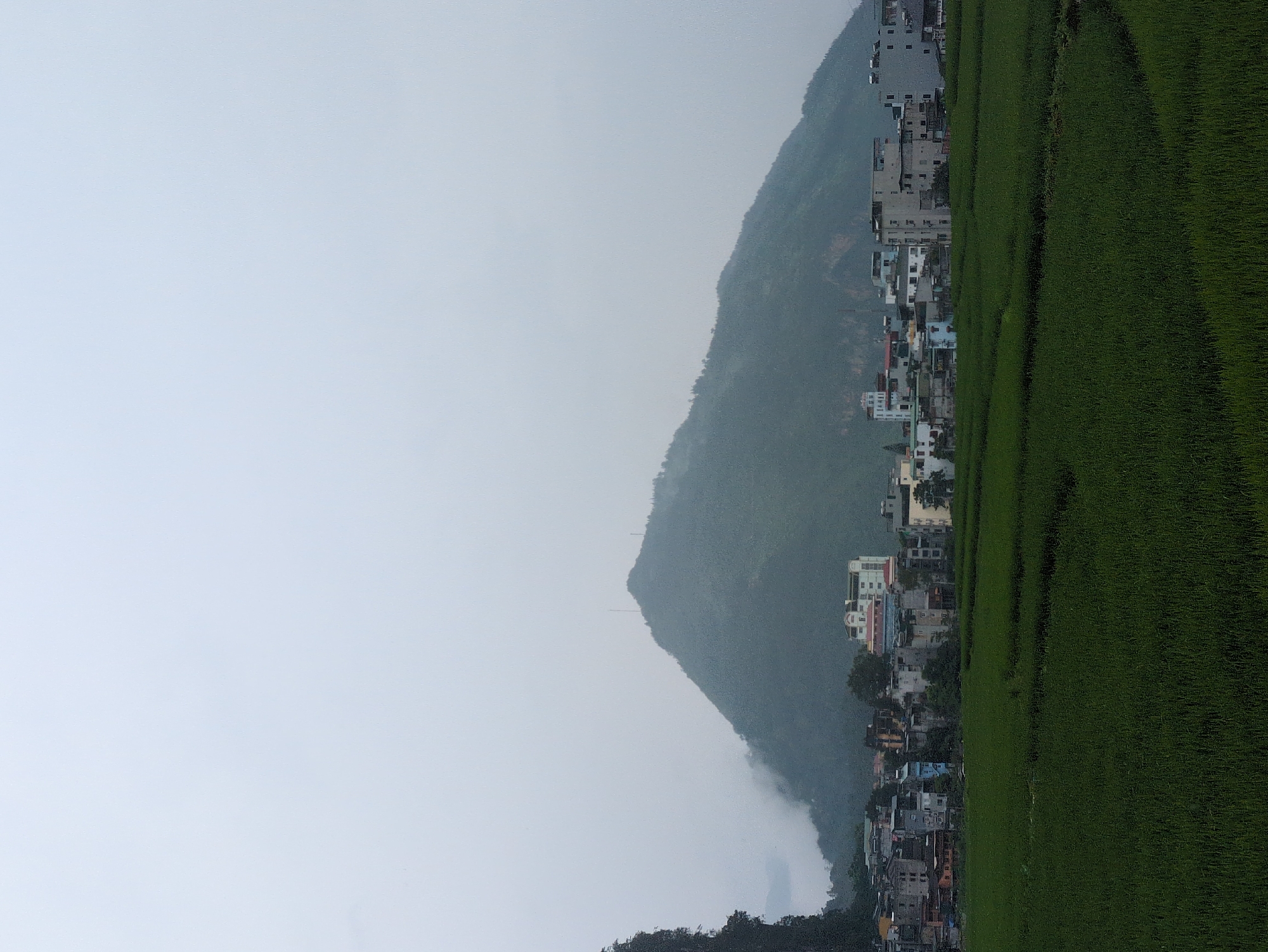 This image depicts a rural landscape in Đồng Văn Commune, Vietnam, characterized by a verdant rice field in the foreground, with a cluster of buildings and a prominent mountain in the background. The rice field exhibits distinct rows, suggesting it is actively cultivated. The buildings, a mix of residential and possibly commercial structures, vary in height and architectural style, with some appearing to be multi-story. A large, tree-covered mountain dominates the upper portion of the image, partially obscured by mist or clouds. The sky is overcast, casting a soft, diffused light over the scene. No people are visible in the image. The overall impression is one of a tranquil, natural environment coexisting with a small human settlement.