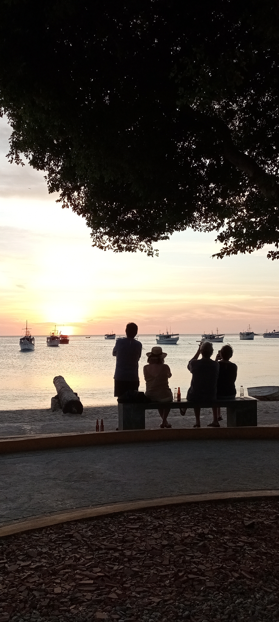 The image displays a picturesque sunset scene over a body of water, possibly a sea or large lake, with dark tree branches and foliage silhouetted across the top. In the foreground, four individuals are seen from behind, enjoying the view. One person stands on the left, while three others are seated on a low, light-colored concrete bench. The seated group consists of a person wearing a straw hat, another holding what appears to be a phone or camera, and a third person. Several beer bottles are visible on the ground and on the bench, along with a plastic water bottle.
In the midground, a sandy or pebbled shoreline extends to the water. An old, dark cannon lies on the beach to the left of the bench. The water reflects the warm, golden light of the setting sun, which is visible as a bright disc on the horizon. Multiple small boats, appearing to be fishing vessels, are scattered across the water, their dark forms contrasting sharply with the bright sky. The sky above the sunset transitions from a vibrant orange and yellow near the horizon to softer pastels higher up. The scene conveys a sense of tranquility and appreciation for the natural beauty of the moment.