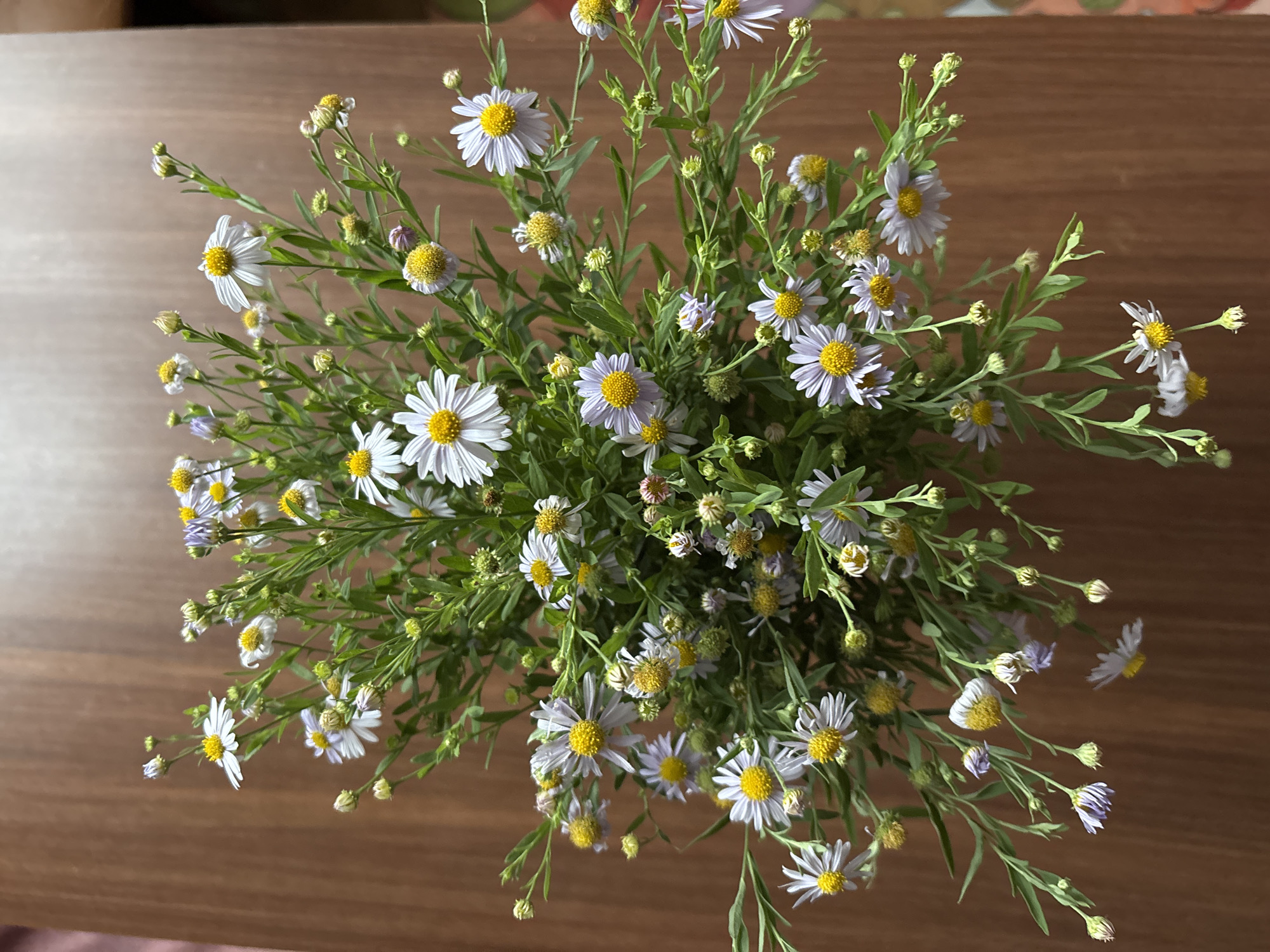 A top-down, close-up shot captures a bouquet of small, white and light purple wildflowers with yellow centers, arranged in a vase that is not visible. The flowers are predominantly white with delicate, thin petals and bright yellow pistils. Some of the petals on the white flowers show signs of wilting or damage, with browning tips. A few of the flowers are a light, muted purple color, also with yellow centers. The stems and leaves are a vibrant green, with some buds and smaller, unopened flowers visible throughout the arrangement. The bouquet is set against a warm, brown wooden surface, likely a table or countertop, which has a visible wood grain pattern. The lighting suggests an indoor setting, with natural light casting soft shadows. There are no people or animals present in the image. The scene is static and the focus is solely on the floral arrangement and its immediate background. No specific location in Blagoveshchensk, Russia can be identified from the visual information provided.
