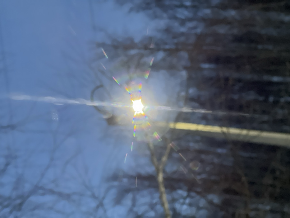 This image depicts an outdoor scene in Noviy, Russia, characterized by significant optical blur and lens flare. The primary subject is a brightly illuminated, out-of-focus light source, likely a streetlamp, situated centrally. This light exhibits a prominent white core and numerous radiating, multi-colored (rainbow spectrum) streaks of lens flare, obscuring fine details. A light-colored pole, presumed to be part of the light fixture's support structure, extends downwards from the light source. The background consists of indistinct, dark, bare tree branches and trunks against a hazy, desaturated blue-grey sky, suggesting a natural environment possibly at dusk or dawn. No individuals, specific actions, or interactions are discernible within the frame. The overall environment appears to be an outdoor area with vegetation and artificial lighting.