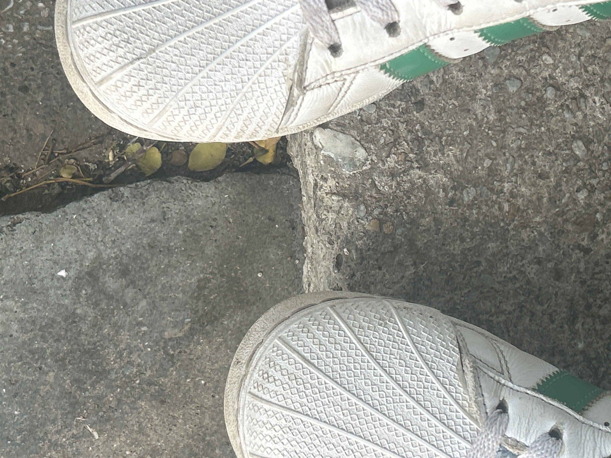 The image shows a close-up, overhead view of a person's feet wearing white Adidas sneakers with green stripes, standing on a cracked concrete surface. The concrete is weathered and shows signs of wear, with small pebbles and debris embedded in it. A narrow, dark gap runs between two sections of the concrete, containing fallen yellow leaves and twigs. The lighting suggests it is daytime. The scene is consistent with an outdoor urban environment, possibly a sidewalk or pathway, and could be located in Santa Ana, Venezuela.