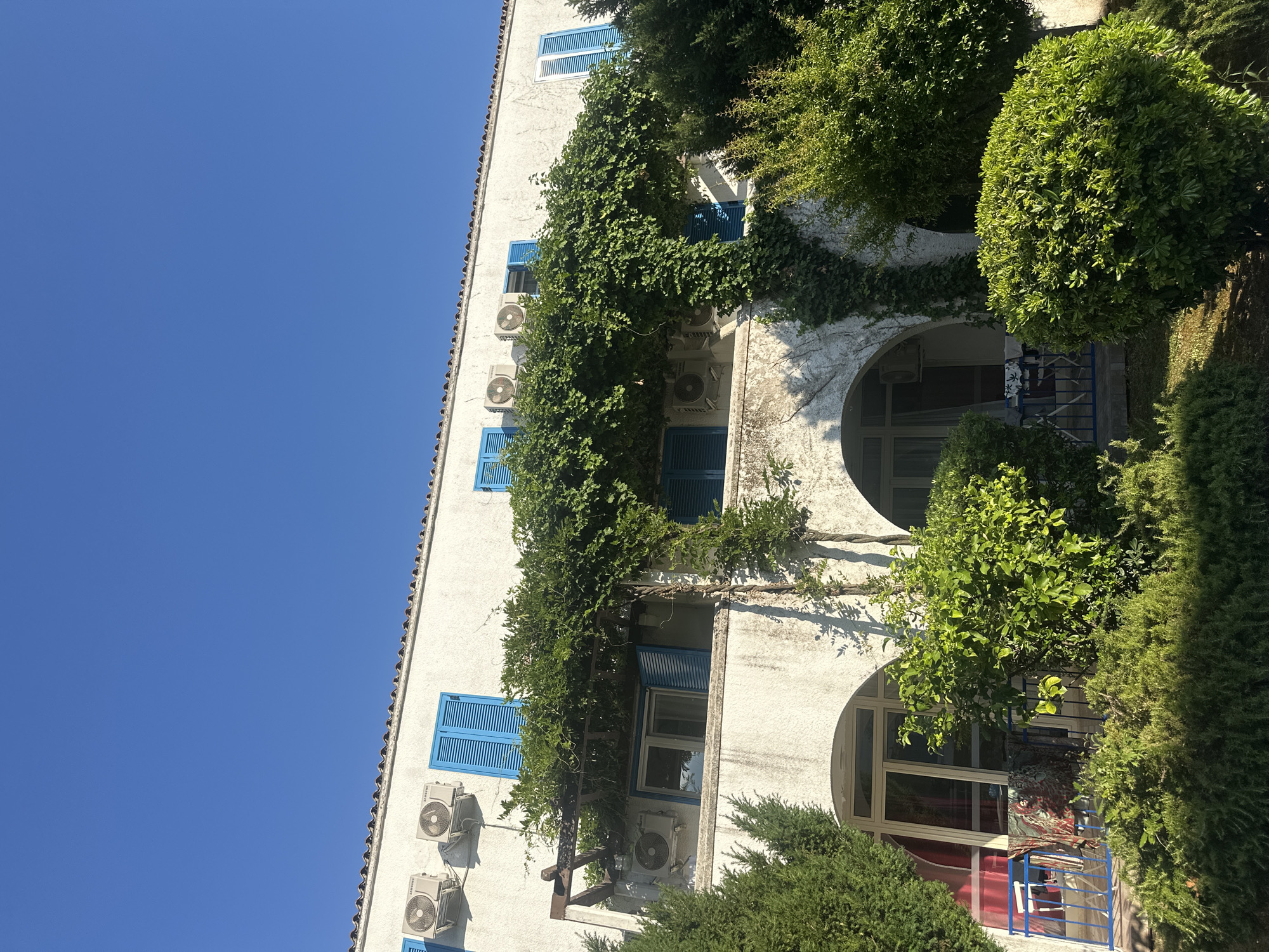 This is a vertical, outdoor, eye-level shot of a white, multi-story building with blue shutters and ivy growing on its facade. The clear blue sky suggests it is daytime with fair weather. Several air conditioning units are mounted on the exterior walls of the building. The building appears to be in a warm, sunny climate, possibly Mediterranean, given the architectural style and lush greenery. The scene is tranquil and bathed in sunlight. There are no people visible, but the presence of the building suggests human habitation or commercial use. The ivy growing over the building and the dense green trees surrounding it contribute to a sense of established nature around the structure. The overall impression is one of a well-maintained building in a pleasant, natural setting.