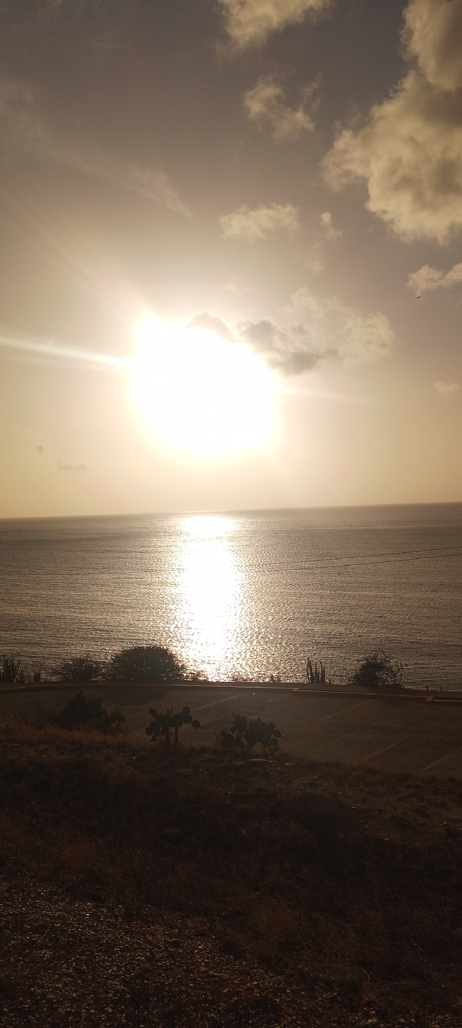 The image depicts a coastal scene at sunset or sunrise, overlooking the sea. The sun is prominently positioned in the sky, casting a bright glare and a reflective path across the water. The sky is partly cloudy, with the clouds illuminated by the low-angle sunlight. In the foreground, there is a dry, grassy hillside with scattered cacti and low-lying vegetation. Beyond the vegetation, a paved area, possibly a road or parking lot, is visible. The sea is calm, with gentle ripples catching the light. The overall impression is one of a serene, natural landscape at dawn or dusk. Based on the visual elements, such as the arid vegetation and coastal environment, and considering the prompt's information, the location is likely near the city of Juan Griego, Venezuela, a coastal settlement known for its beaches and natural beauty. The image is a static, landscape photograph capturing the ambiance of the location.