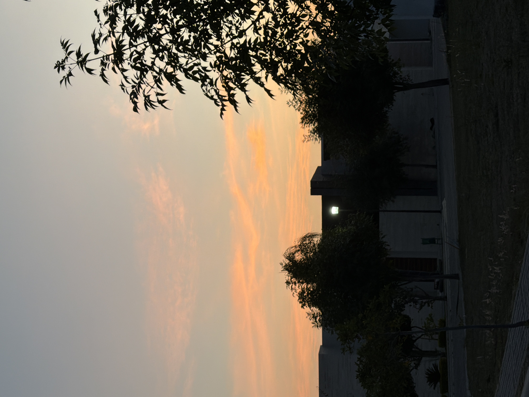 The image shows a scene at dusk in Santa Clara Ocoyucan, Mexico. The sky is predominantly gray with orange cloud streaks near the horizon. The silhouette of a tree branch dominates the top-left corner. Adjacent to the orange sky are trees and a building, also silhouetted. A light fixture is visible on the building. The right side of the image shows a strip of grass.