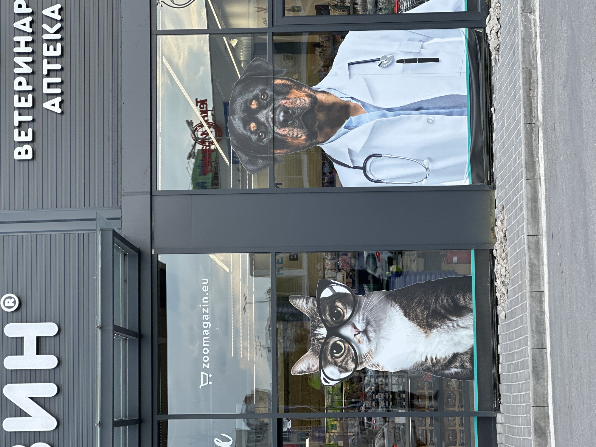 The image shows the exterior of a veterinary pharmacy and pet shop in Veliko Tarnovo, Bulgaria. A sign on the building reads "ВЕТЕРИНАР АПТЕКА" (Veterinary Pharmacy) in Cyrillic script. The storefront windows are decorated with large-scale images: the upper window features a Rottweiler dog dressed in a doctor's coat with a stethoscope, and the lower window has a cat wearing eyeglasses. The name of the pet shop is "zoomagazin.eu," accompanied by a shopping cart icon. The scene is viewed from an elevated angle, showing the adjacent street and pavement.