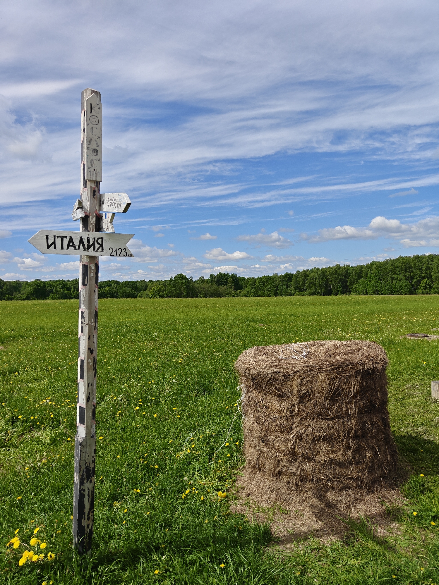 A rustic wooden signpost stands in a grassy field in Borodino, Russia, under a bright blue sky with scattered white clouds. The signpost has various directional arrows pointing in different directions, with one sign clearly labeled "ИТАЛИЯ" (Italy) and "2123 km". The post itself is decorated with various markings and drawings. To the right of the signpost is a large, cylindrical haystack sitting in the field. In the background, a dense green forest forms the horizon. The field is dotted with yellow wildflowers.