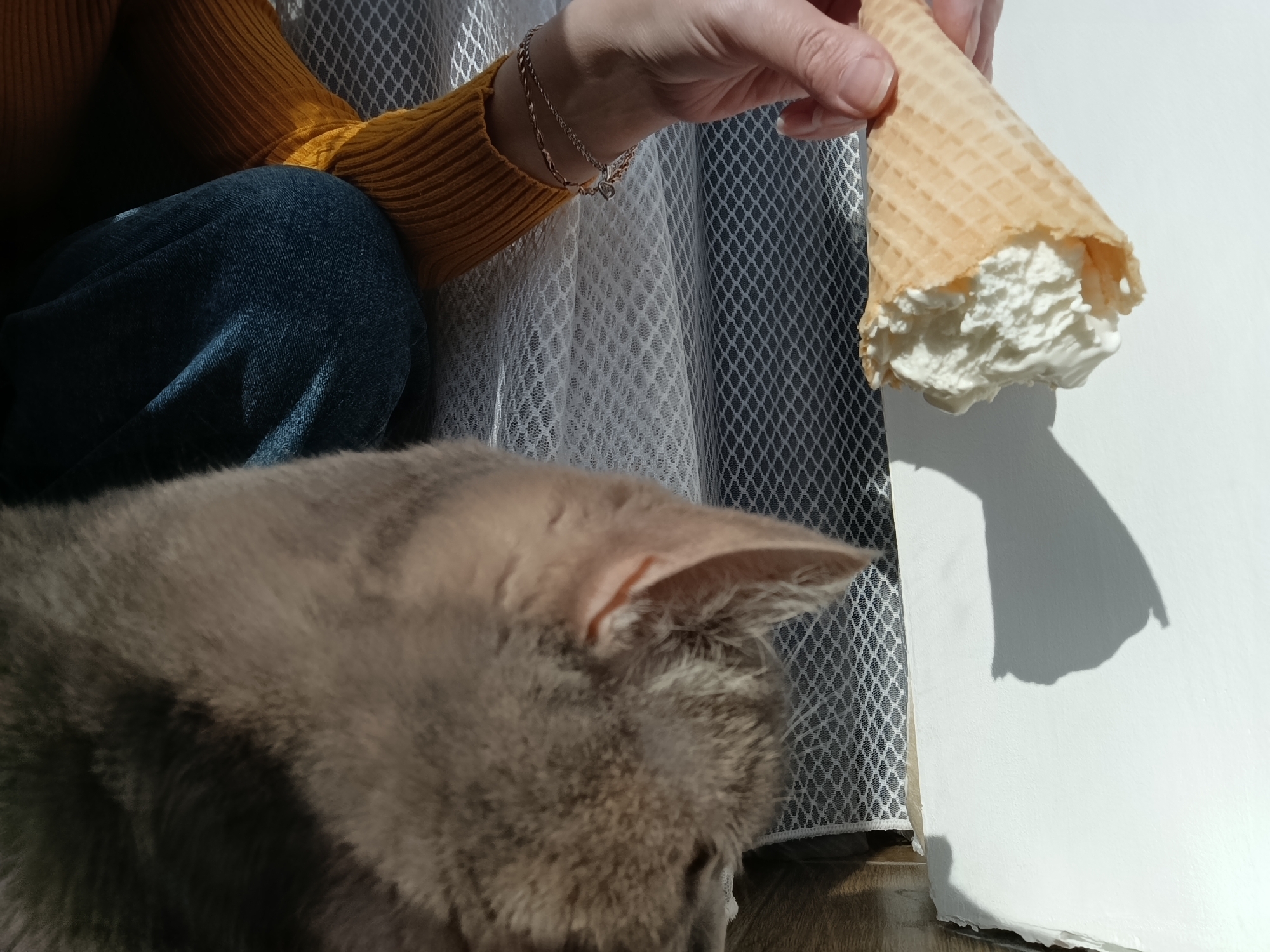 The image shows a gray cat looking at an ice cream cone held by a person. The person is wearing a yellow sweater and blue jeans. Their wrist has two bracelets. The ice cream is a waffle cone filled with white ice cream. A white, lace-like curtain is behind the person's arm and the ice cream. The background is a white surface. The location is potentially Chaikovsky, Russia, based on provided context.