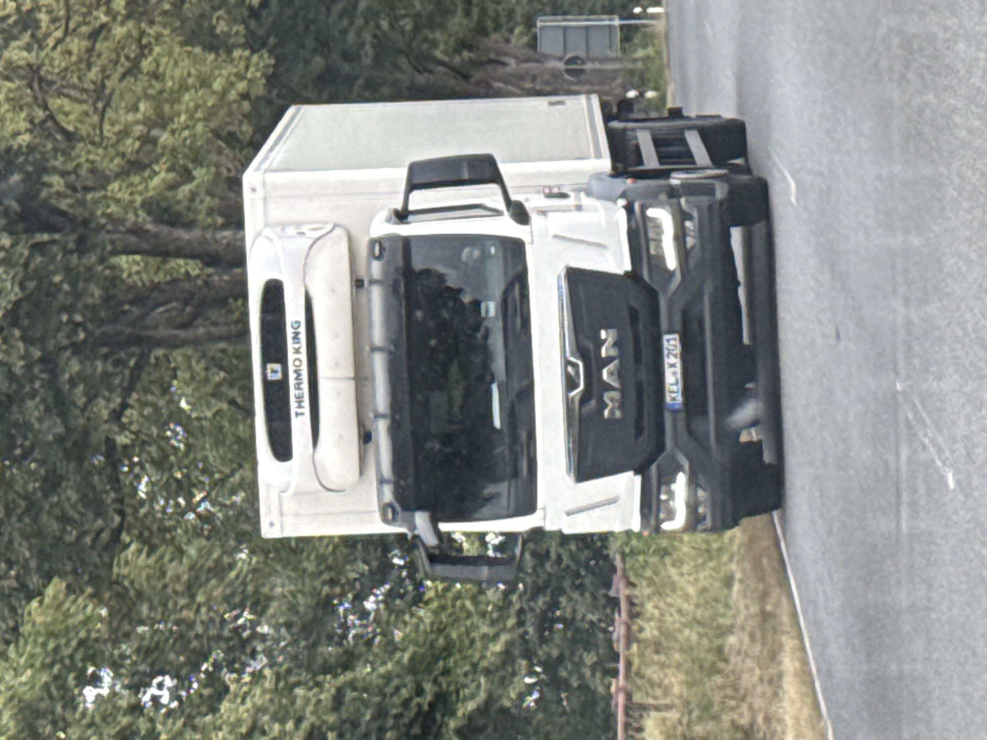 A white refrigerated truck, identified by the "THERMO KING" logo on its unit and the "MAN" logo on its grille, is driving on a paved road. The truck has a license plate with the characters "KEL-X 201". The scene is bordered by trees with green foliage on the left and right sides. The road surface shows white lane markings. The overall environment suggests a rural or roadside setting, potentially within or near Bad Lauterberg im Harz, Germany, given the context of the prompt. There are no people visible in the image.