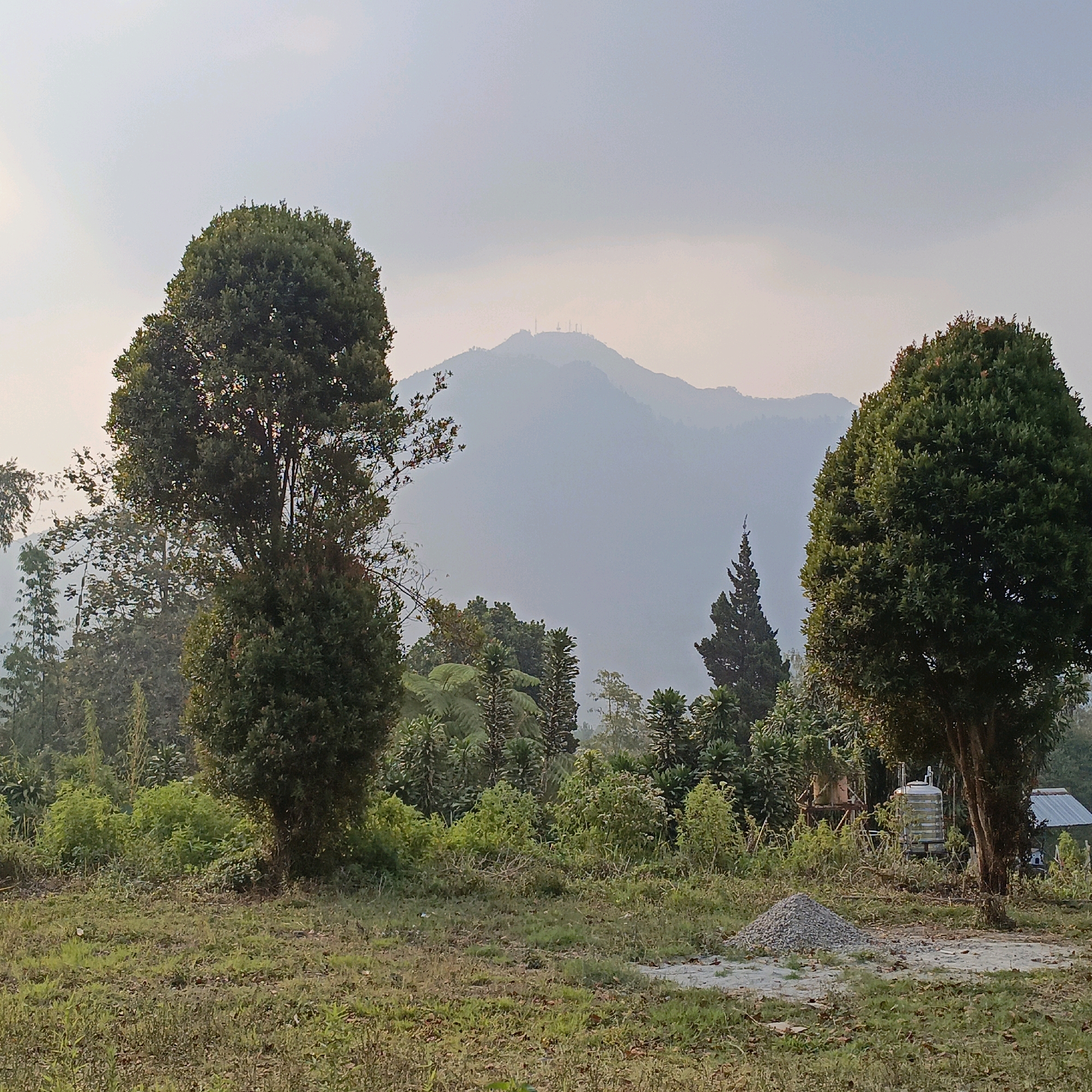 The image depicts a rural landscape in Getasan, Indonesia, characterized by a misty mountainous backdrop and a foreground of trees and vegetation. In the distance, a hazy mountain range rises, with several telecommunication towers visible atop its peak. The foreground is dominated by lush green trees, including two prominent, rounded evergreen trees on either side of the frame. Between them, a dense collection of various plants, shrubs, and smaller trees creates a varied natural environment. A patch of dry grass and dirt is visible in the immediate foreground, with a small pile of gravel situated on a dirt path. To the right, partially obscured by trees, are some man-made structures, including a silver water tank and a small building with a corrugated metal roof. No people are visible in the scene. The overall atmosphere is serene and slightly overcast, suggesting early morning or late afternoon light.